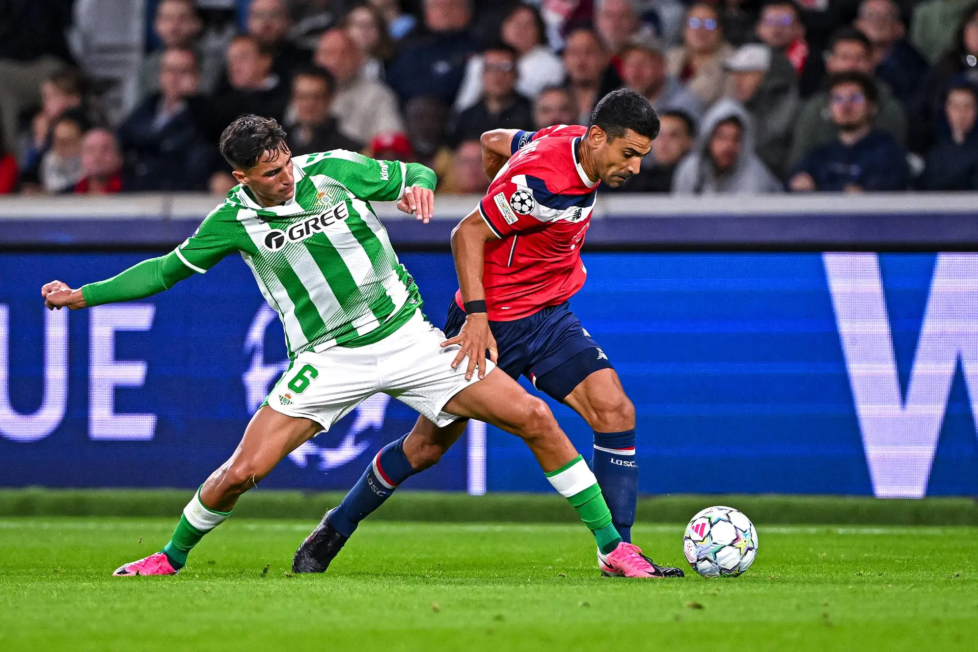 Ldc Le Losc Craque Et Seffondre En 6 Minutes