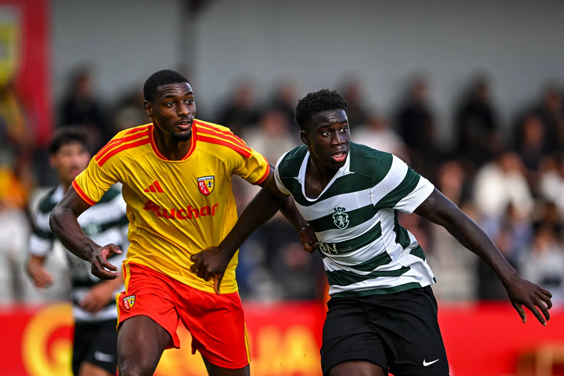 Yl Lille Simpose A Arsenal Lens Tape Le Sporting