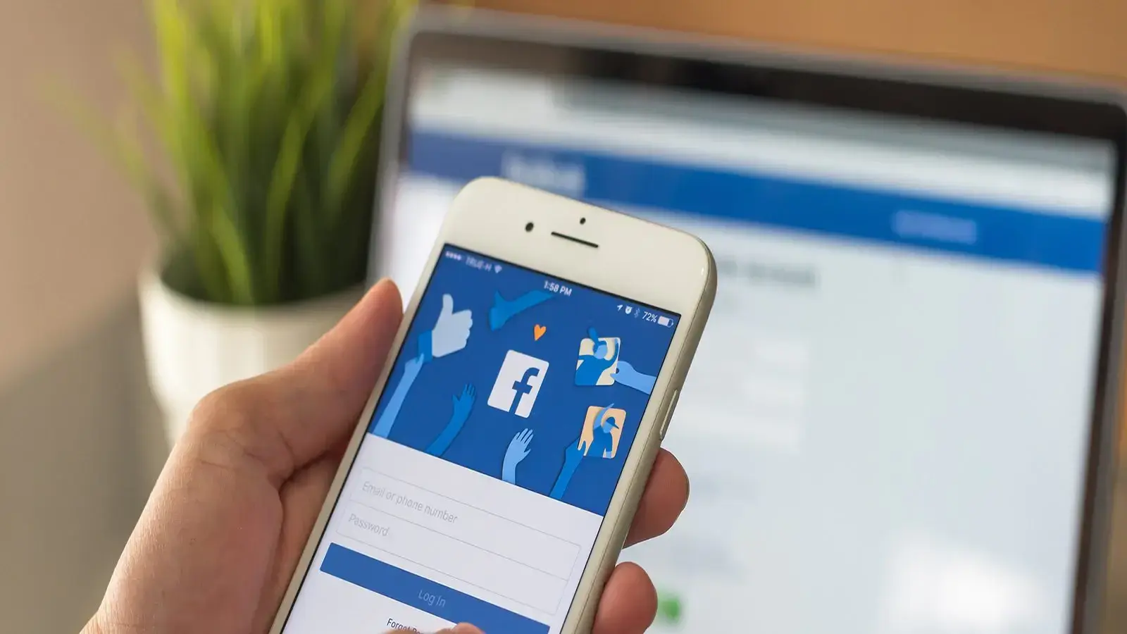facebook