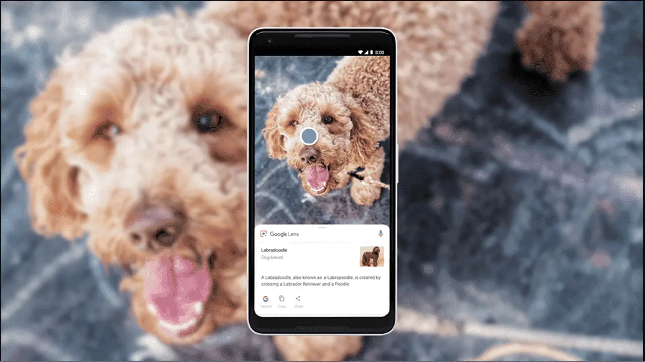 google lens search