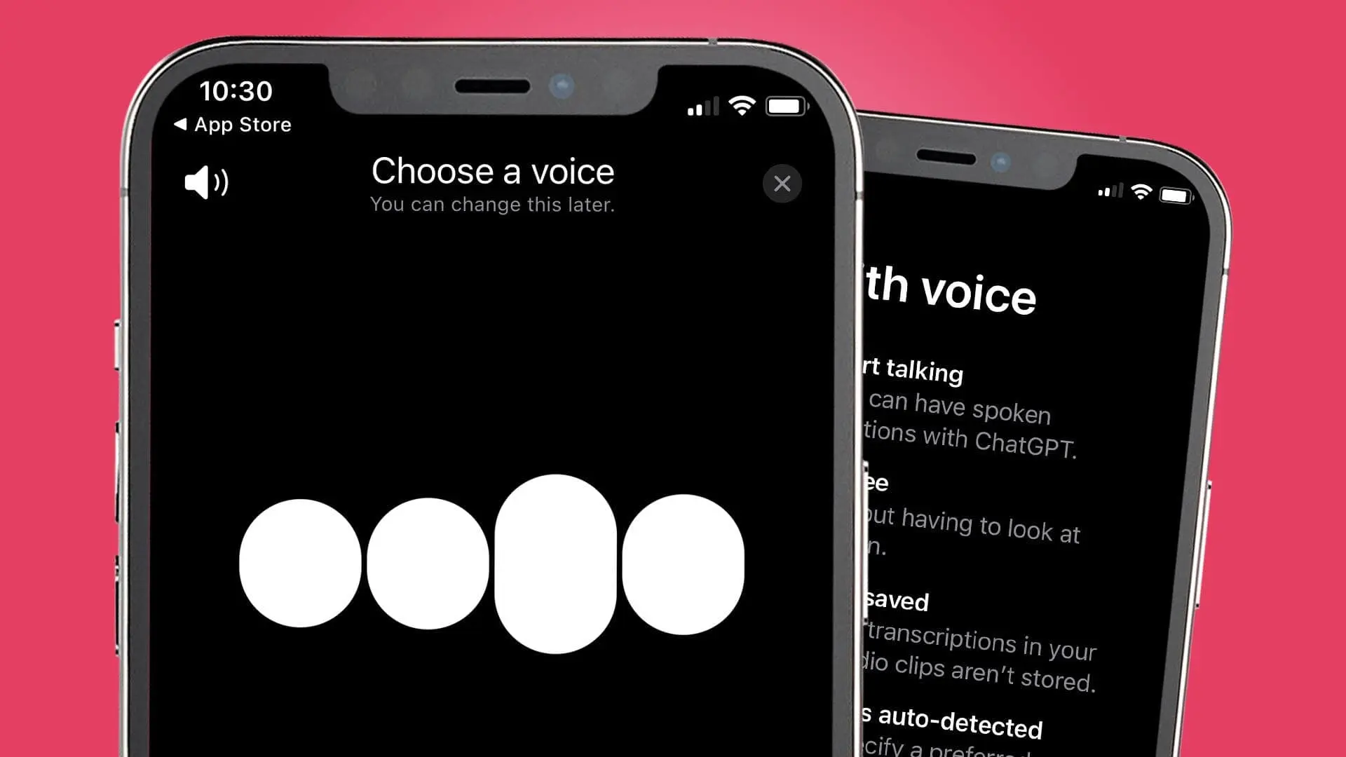 gpt voice ftr