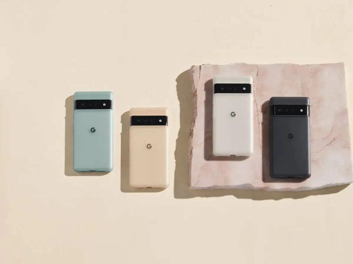 image all p6p p6pcase fam 2021q3width 1200format webp