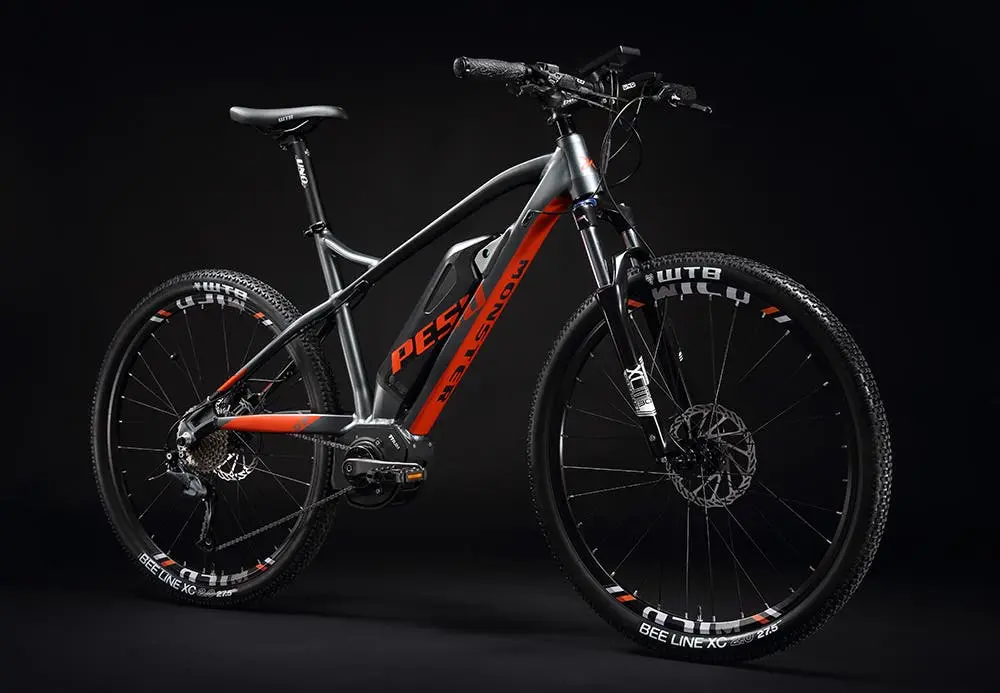 pesu monster 01