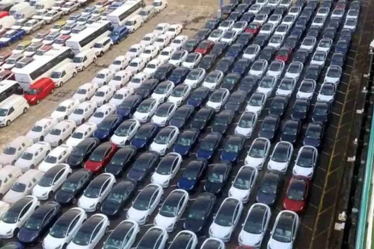 tesla auckland port new zealand