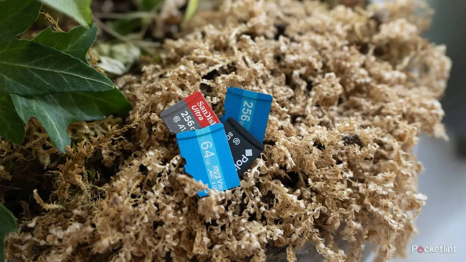 microsd-cards-header