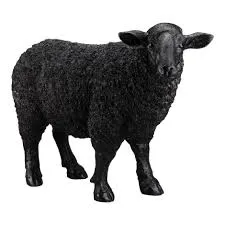 Black Sheep