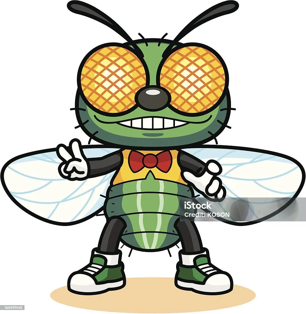 Scathophaga