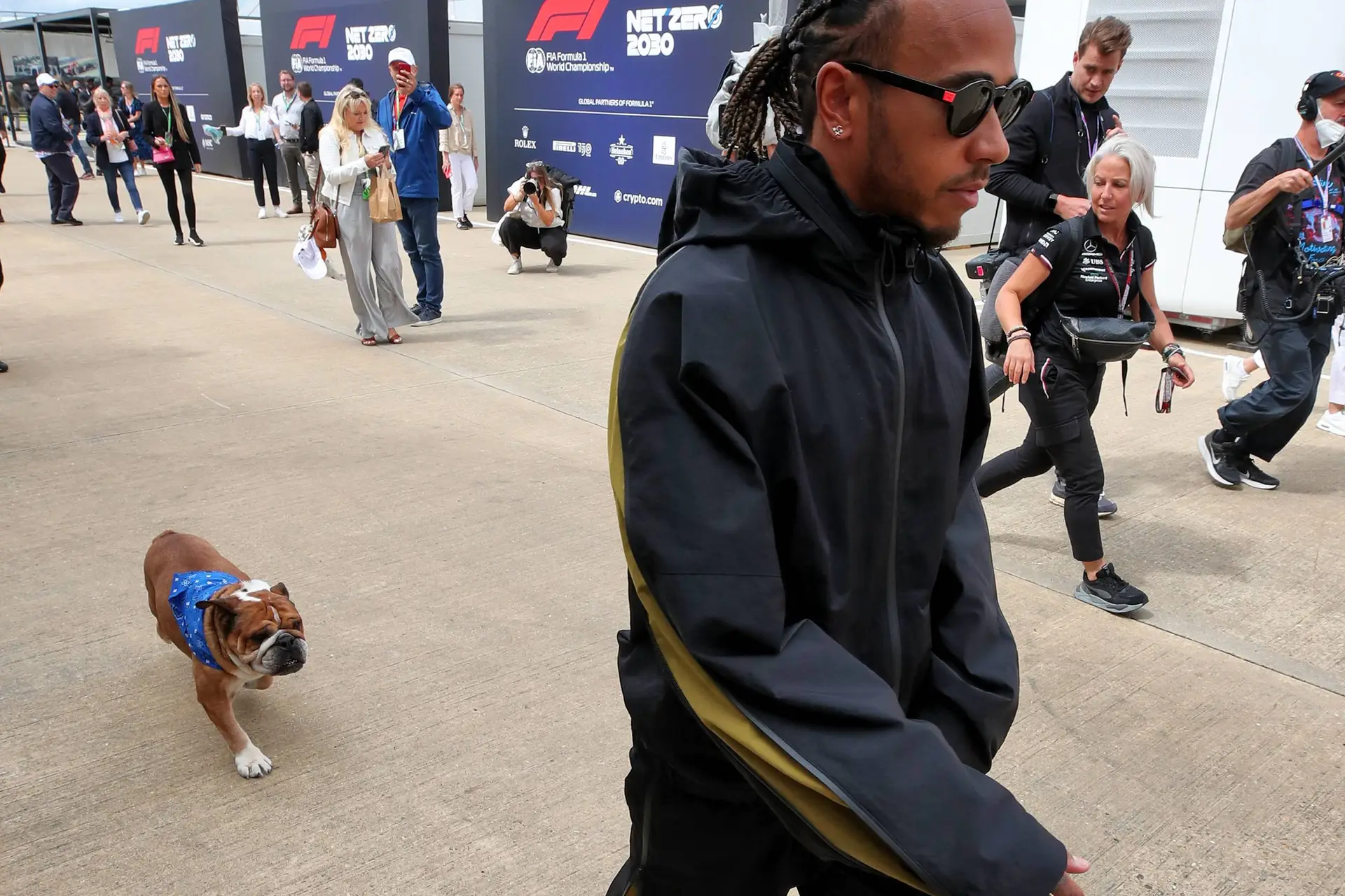 Lewis Hamilton gibt traurige Nachricht bekannt, dass sein Hund Roscoe gestorben ist.