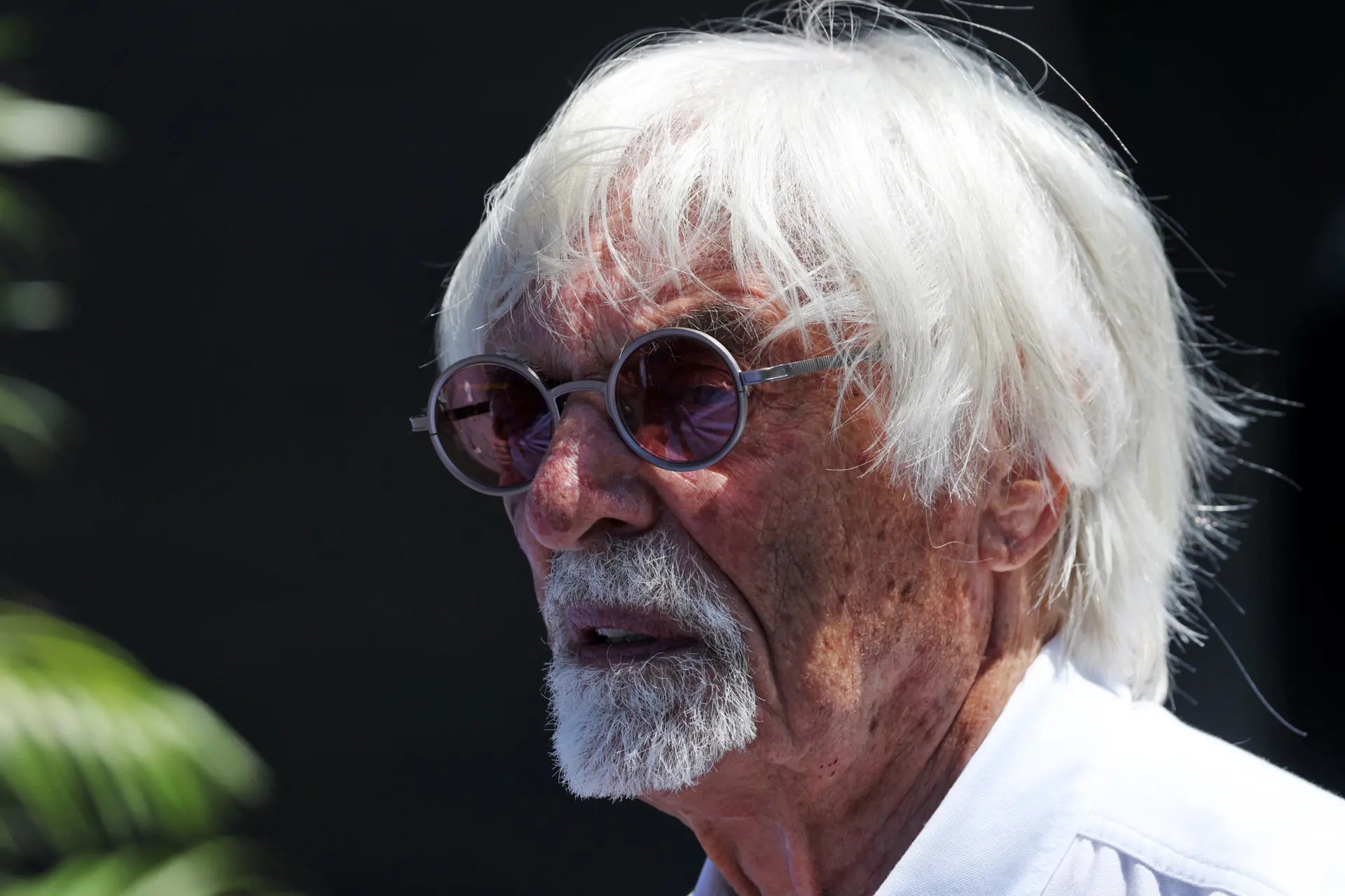 ecclestone-austria
