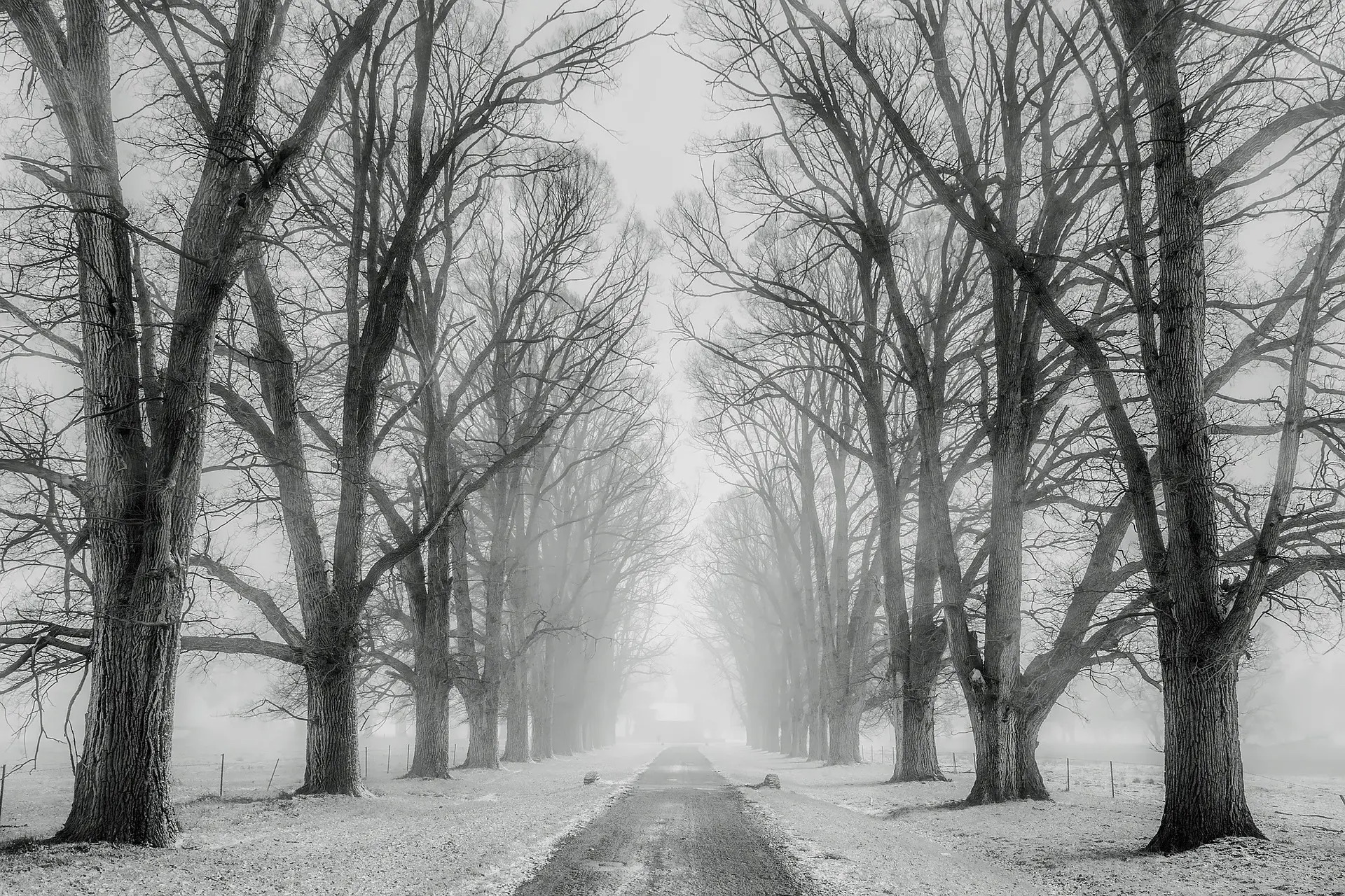 snow g7c7989b9e_1920