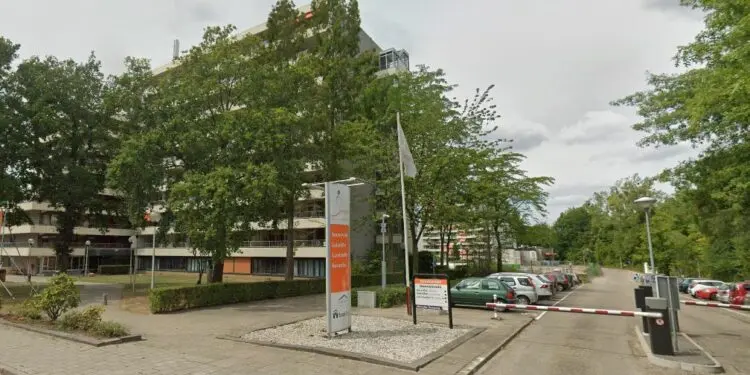 Gewelddadige straatroof: overvallers slaan 84-jarige vrouw bewusteloos