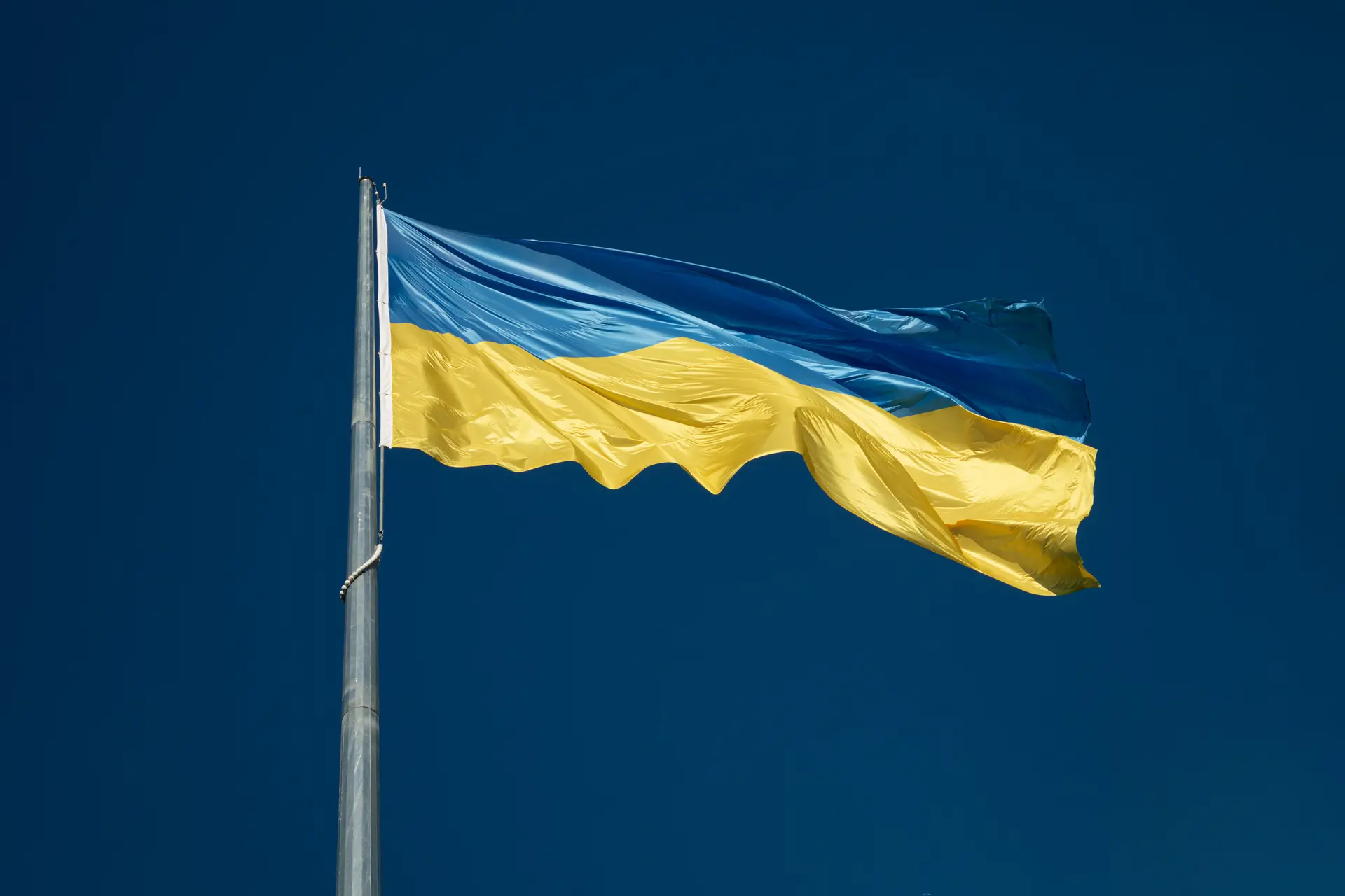 yehor milohrodskyi syuhhpwu hk unsplash
