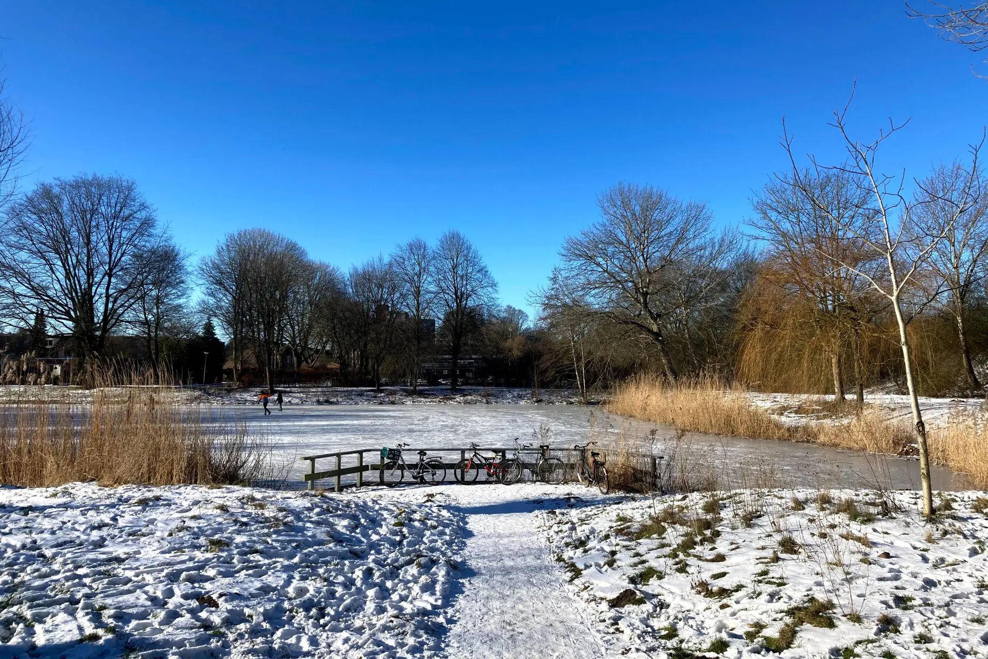 sneeuw4784