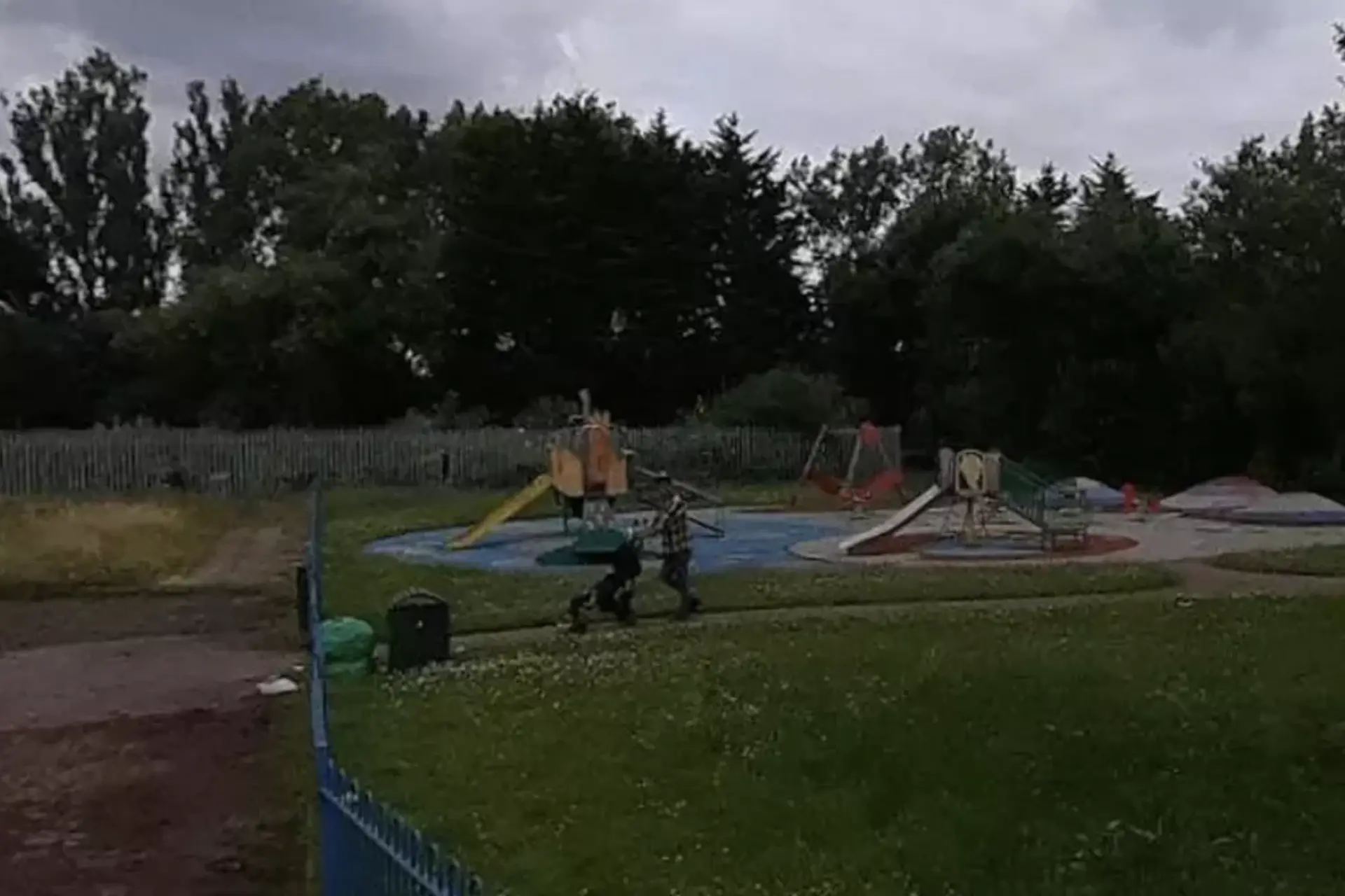 Driejarig meisje zwaargewond na hondenaanval in park
