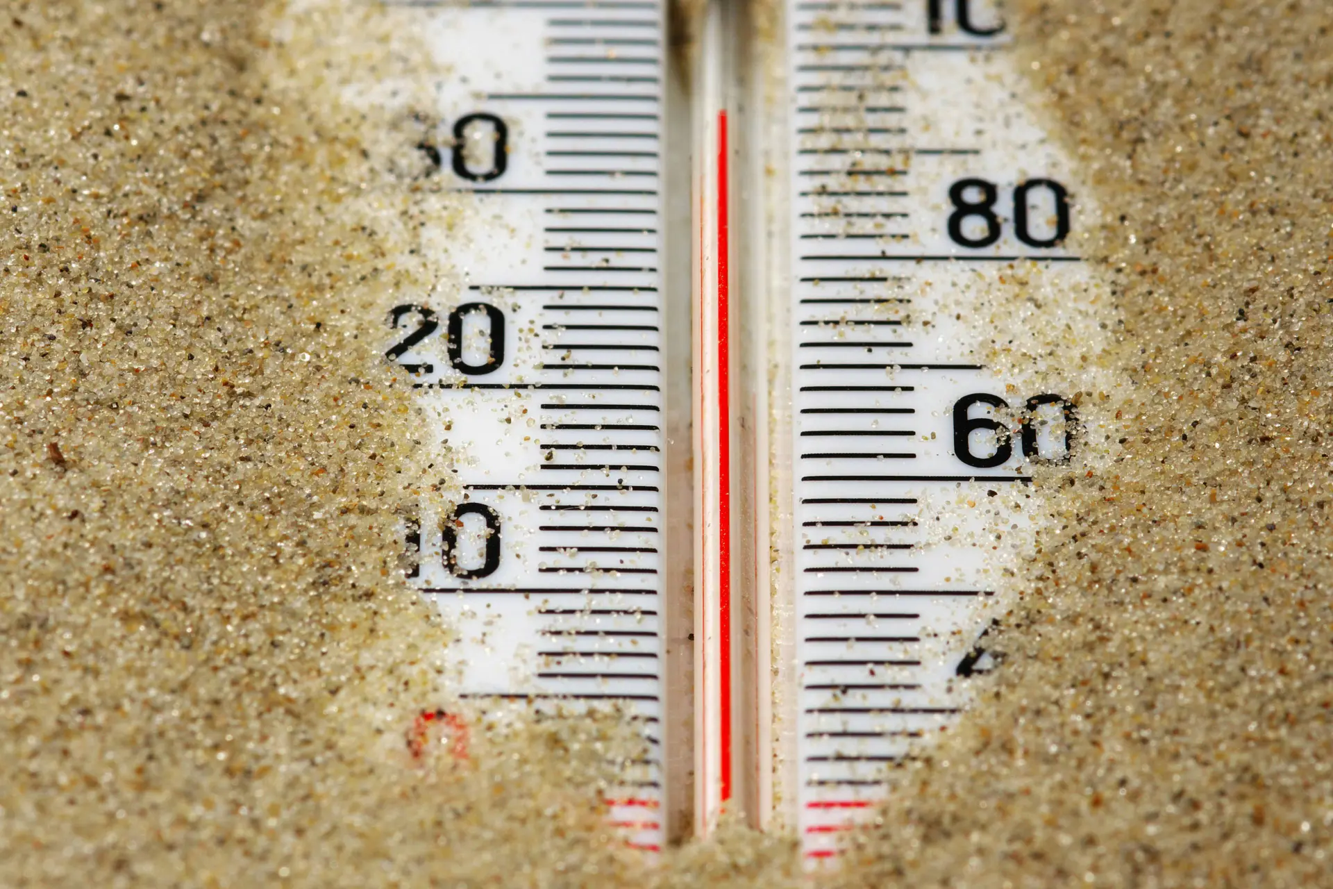 zomer2