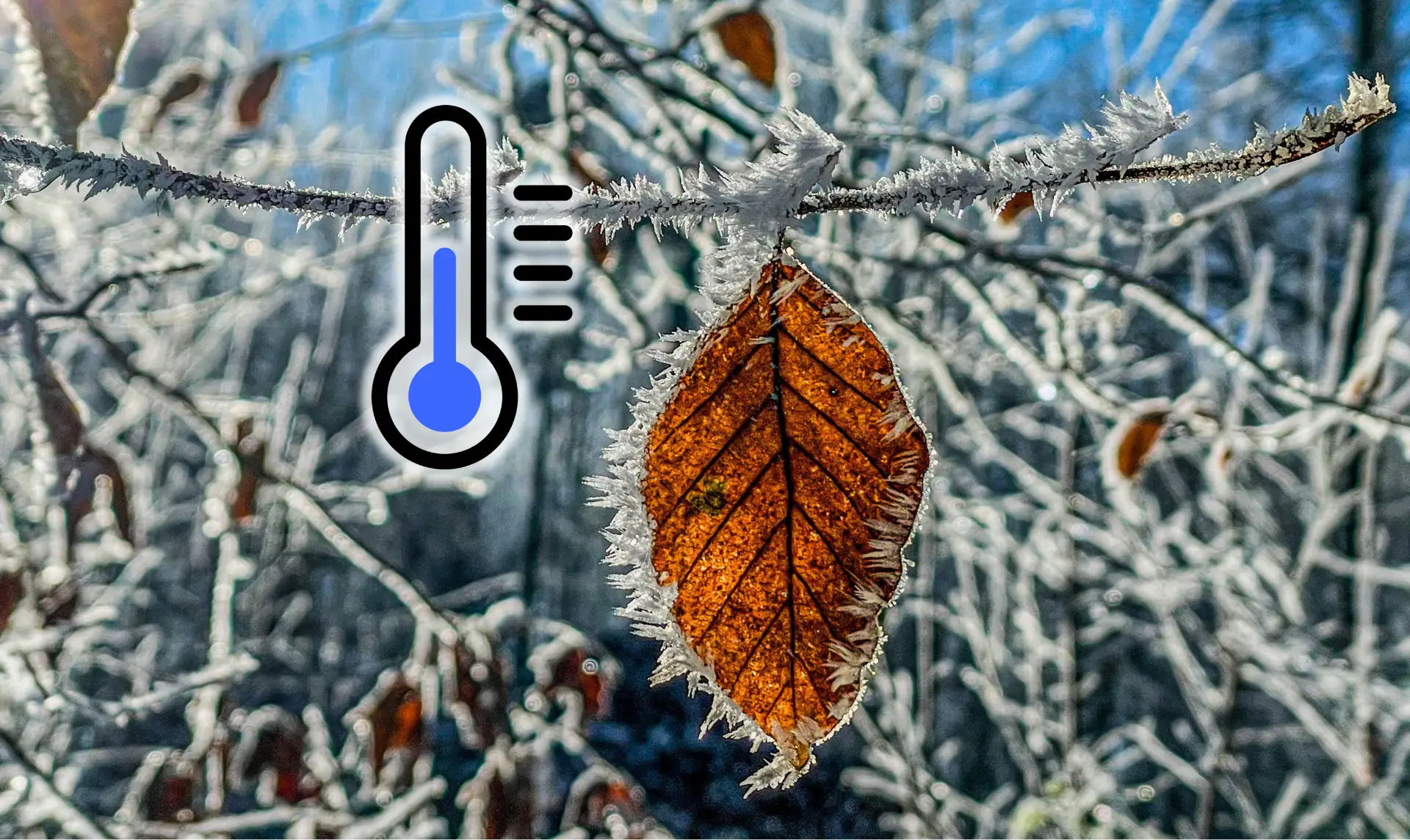 NOAA data shows US cities hit 32°F months apart, from September in Fargo to January in Phoenix