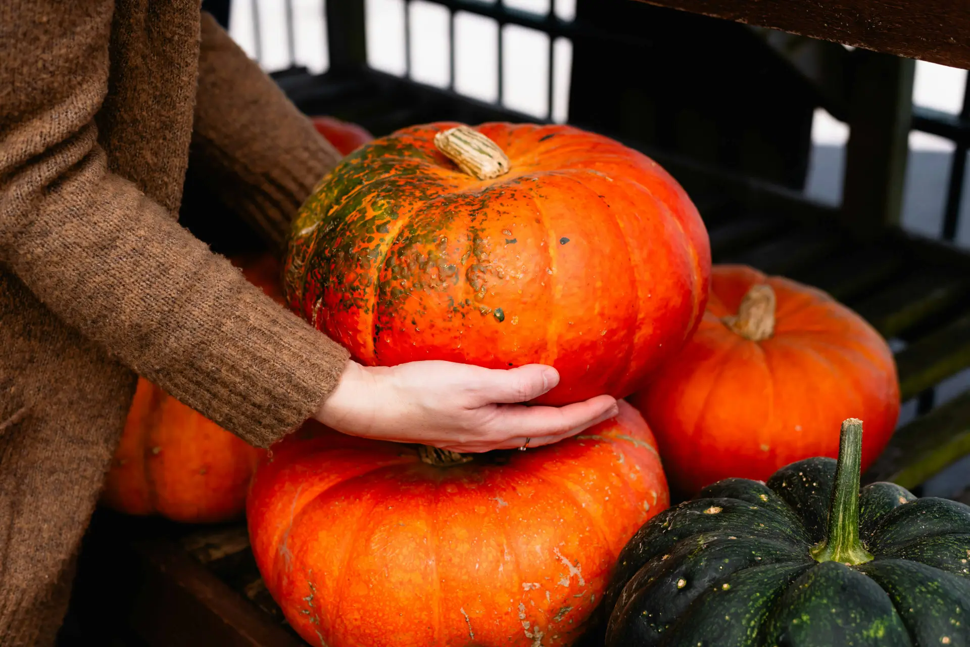 pumpkin-hero-image
