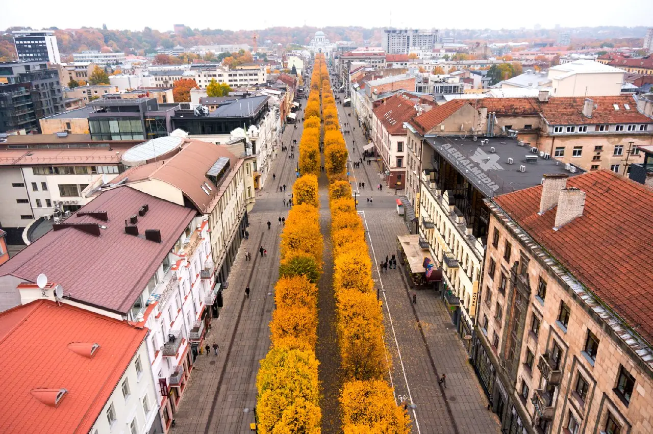 Laisvės alėja iš paukščio skrydžio
