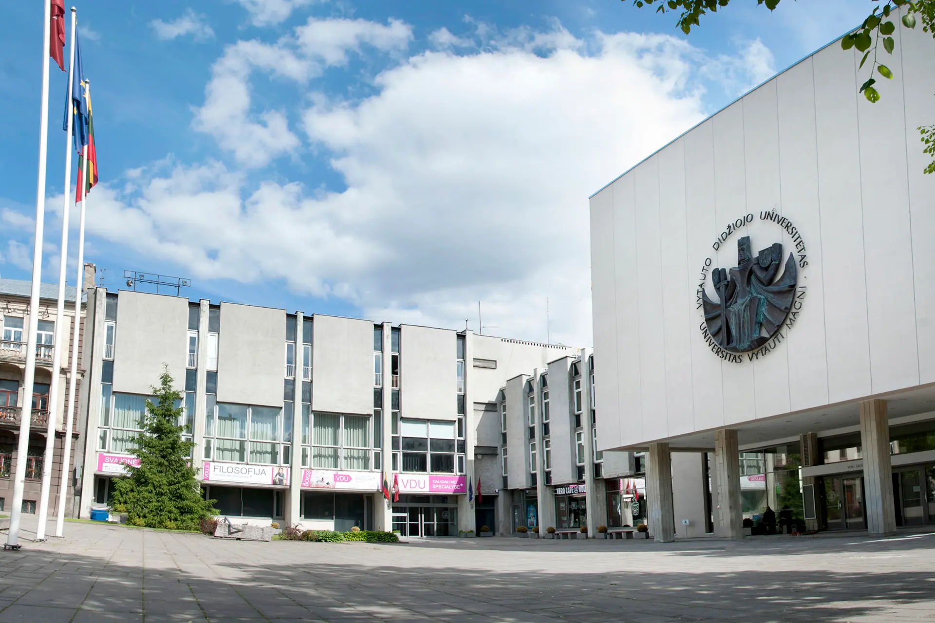 VDU