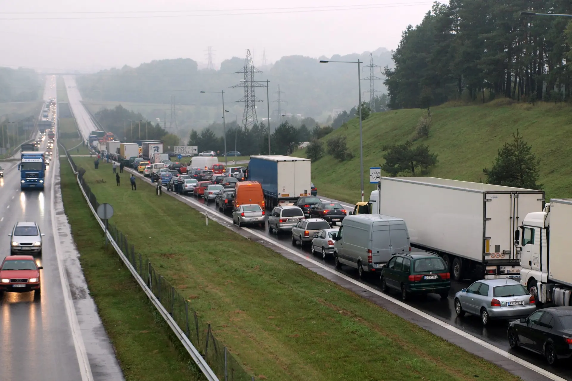 Vilkikas paralyžavo eismą Kauno aplinkelyje