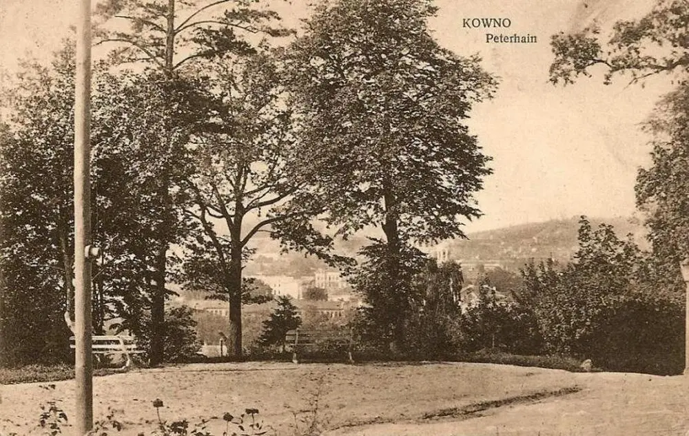 Petro kalnas