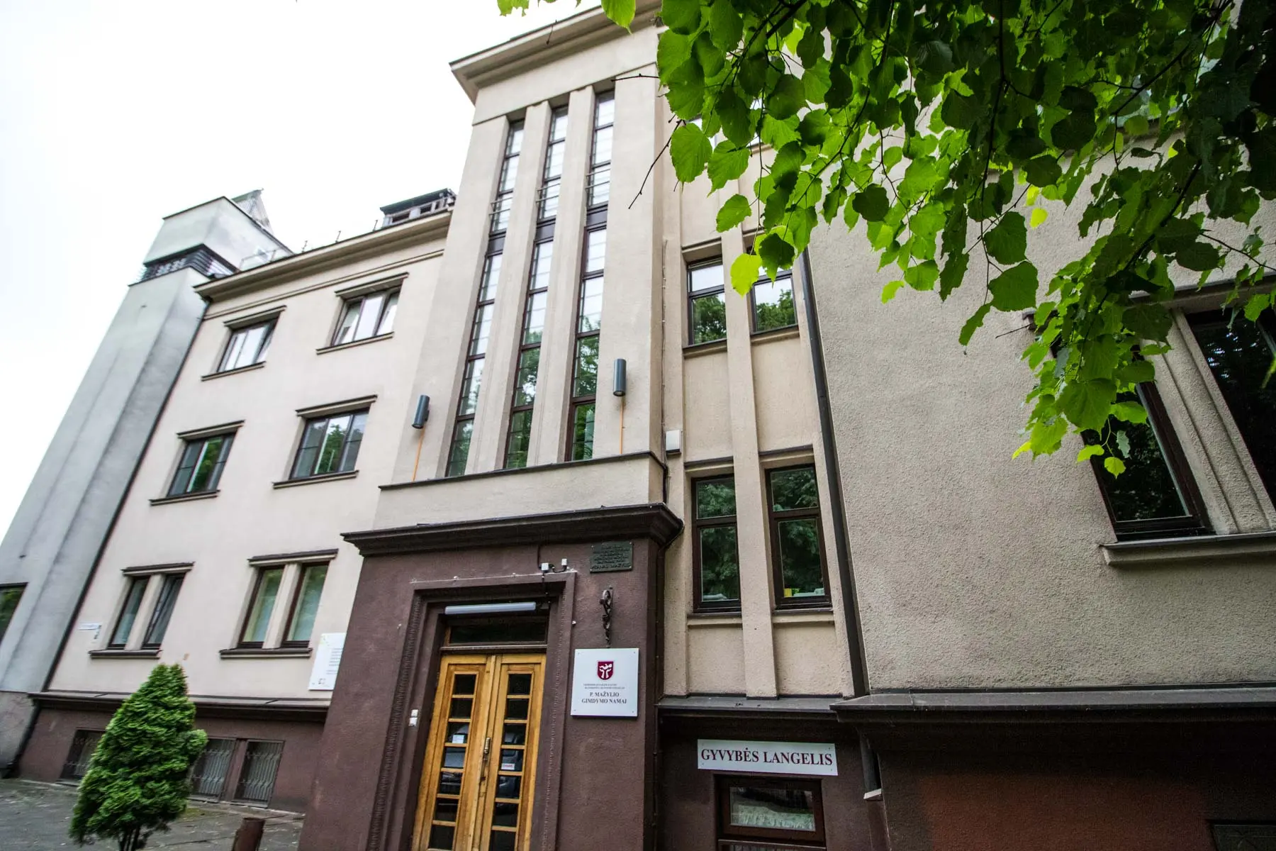 P. Mažylio gimdymo namai