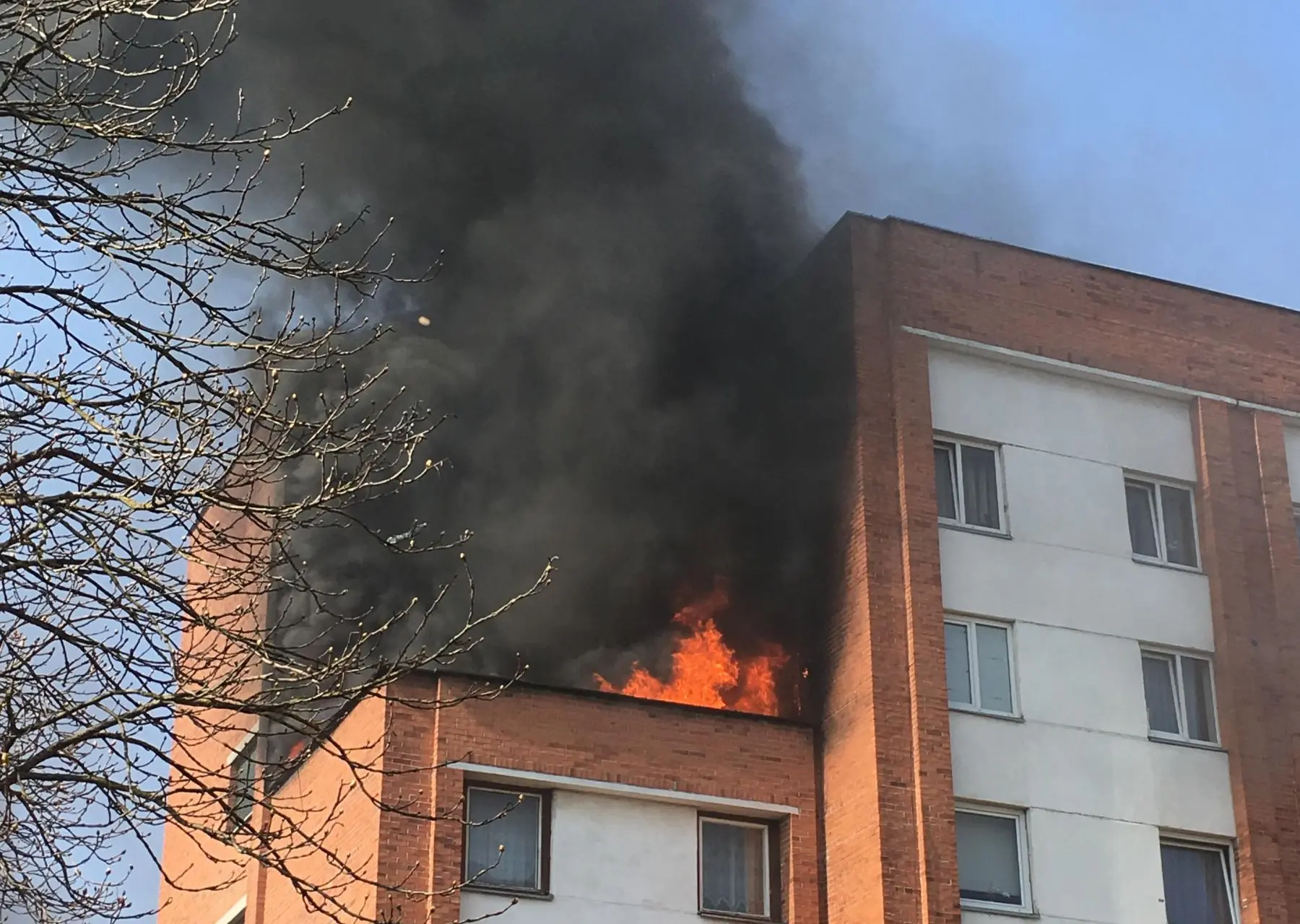 Gaisras Kalniečiuose