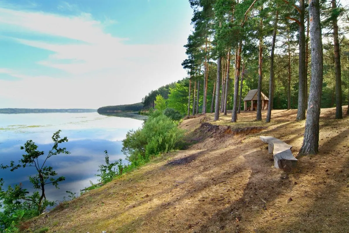 Grabučiškių poilsiavietė