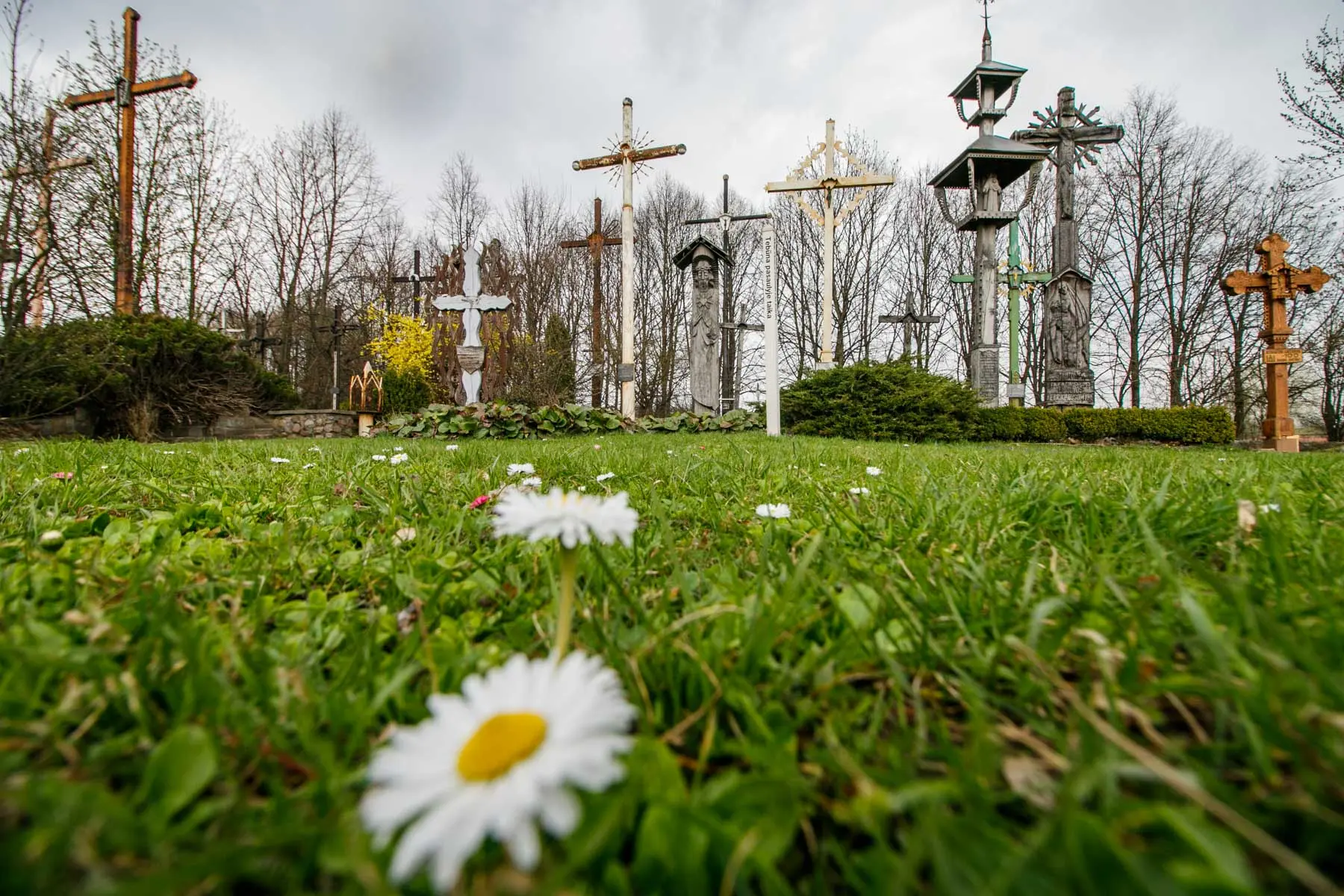 Kryžių kalnelyje prie VI forto - atminimas popiežiui, R. Kalantai ir negimusiems vaikams