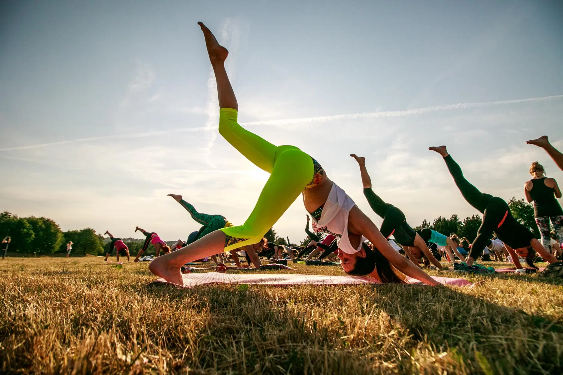 Joga Nemuno saloje