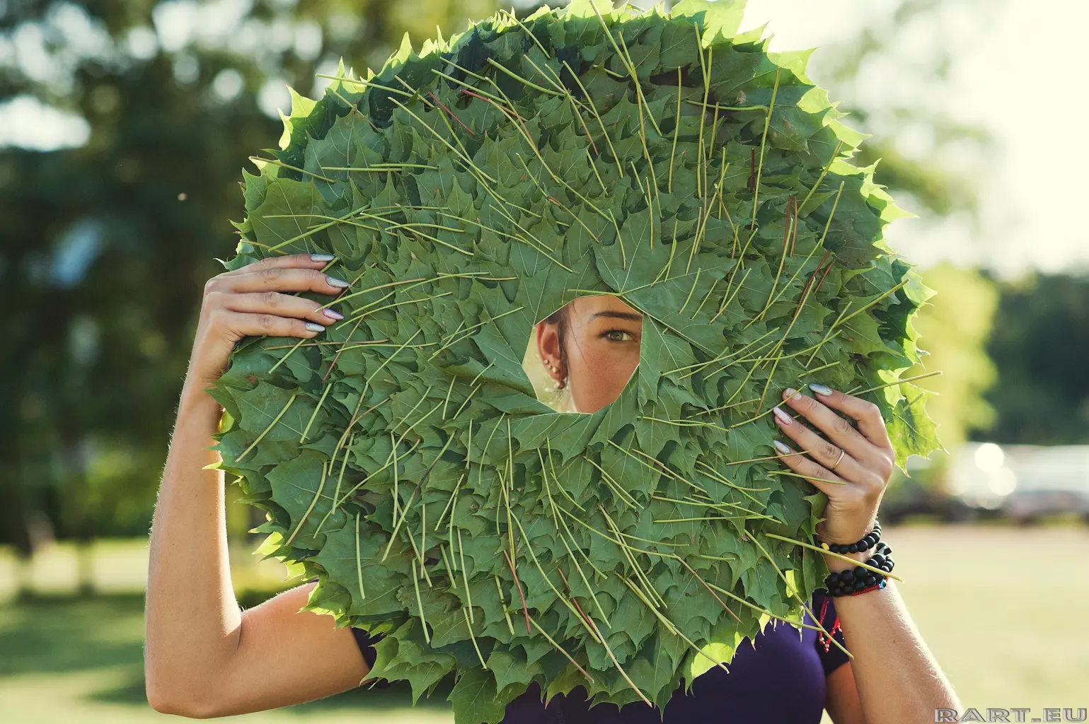 Landart festivalis