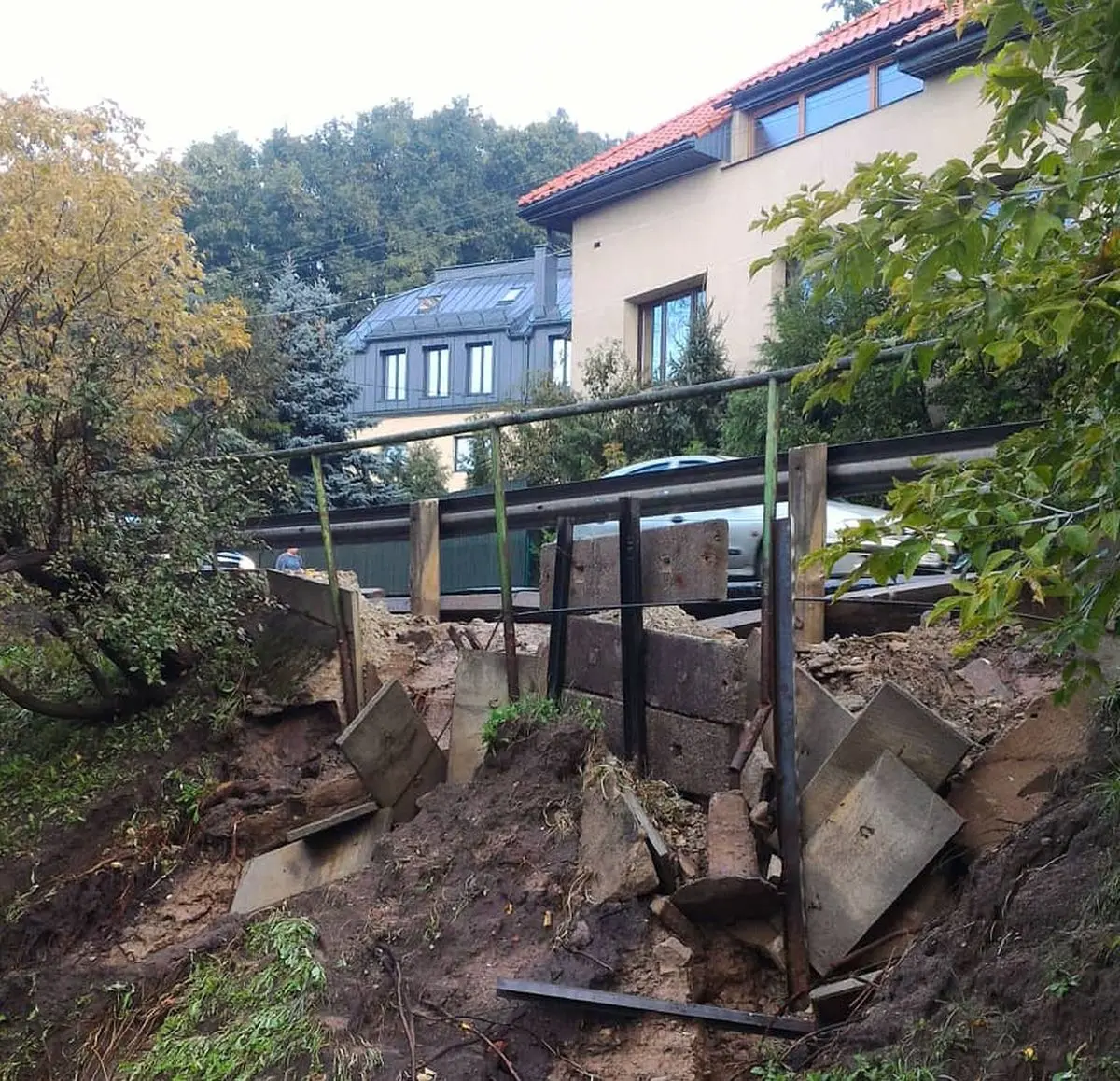 Šlaitas, liūtis Kaune