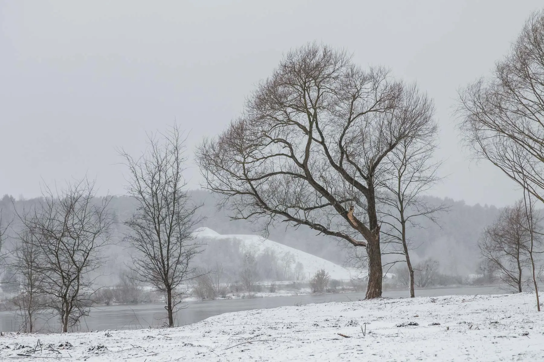 Nemuno ir Nevėžio santaka