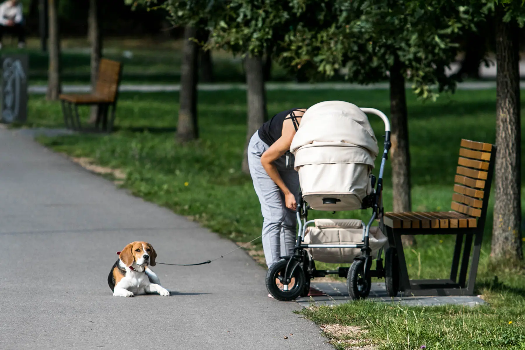 Kalniečių parkas, mama, vaikas