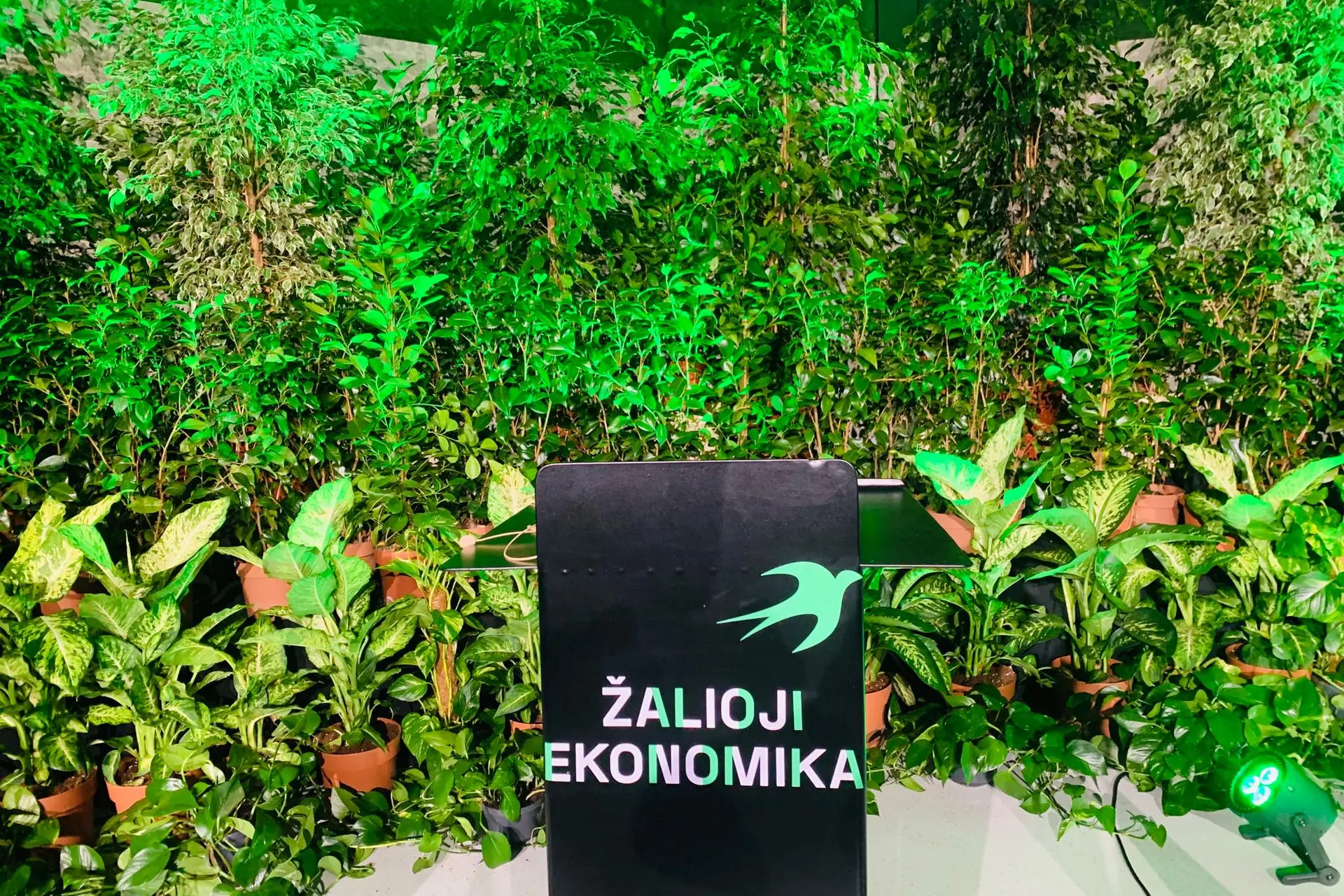 Žalioji ekonomika/ augalai