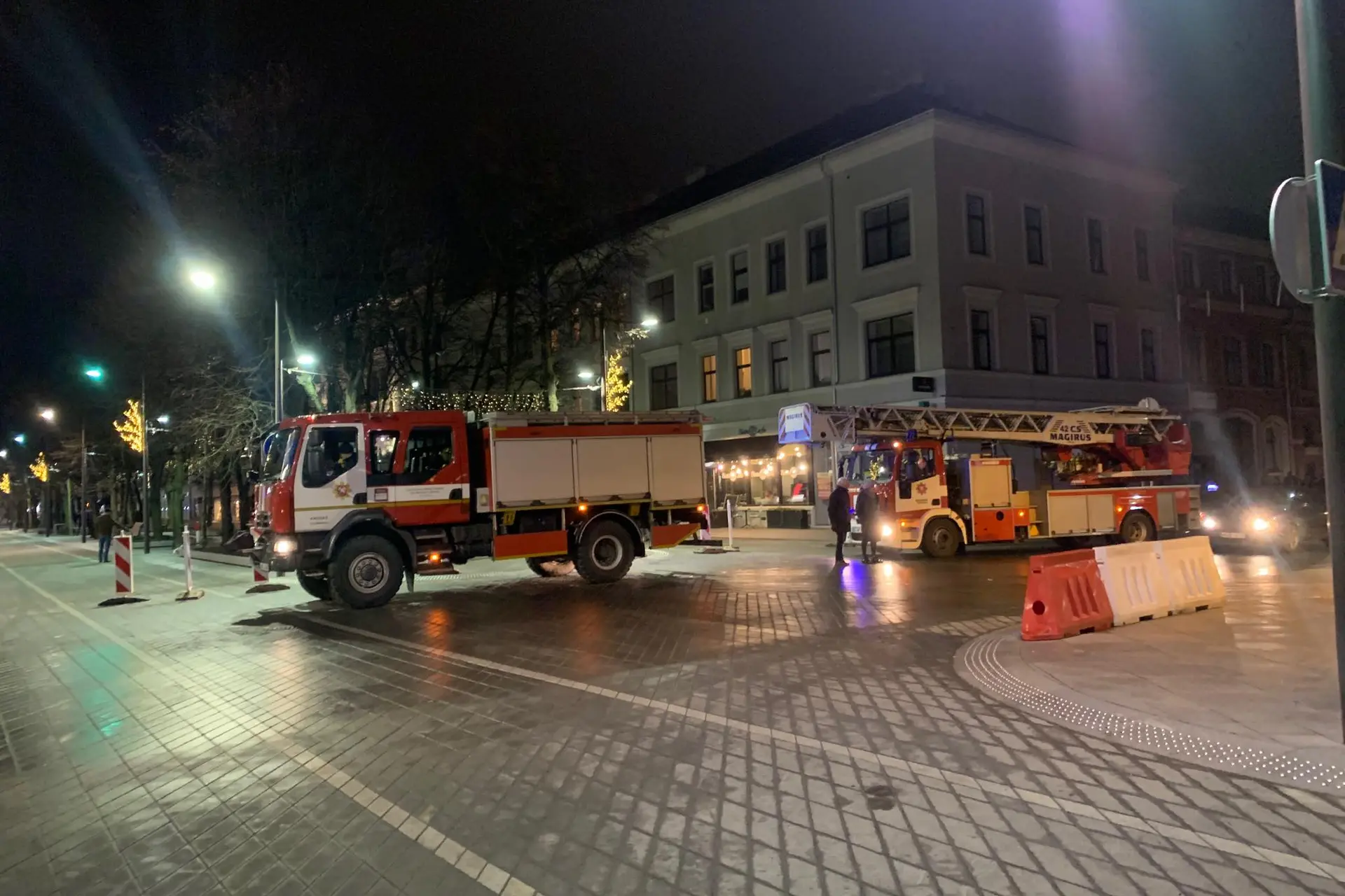 Gaisrinė Laisvės al.