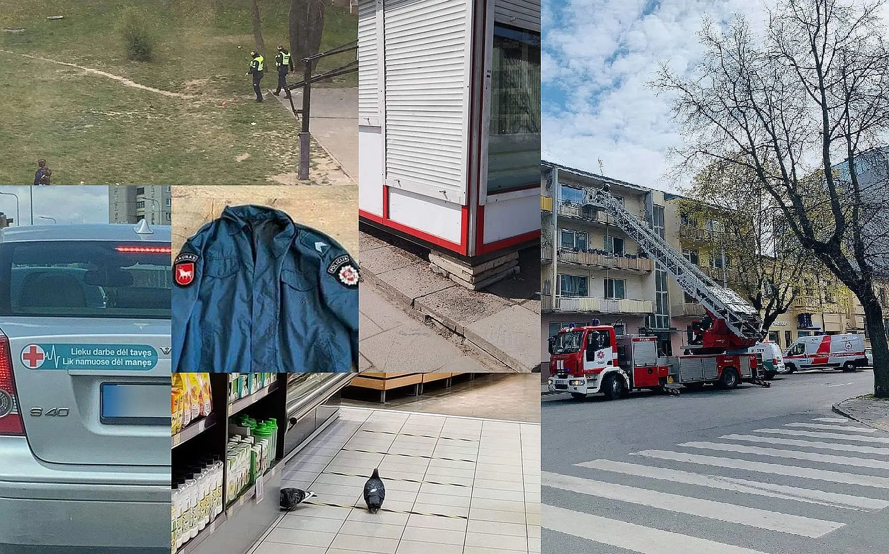 Dienoraštis