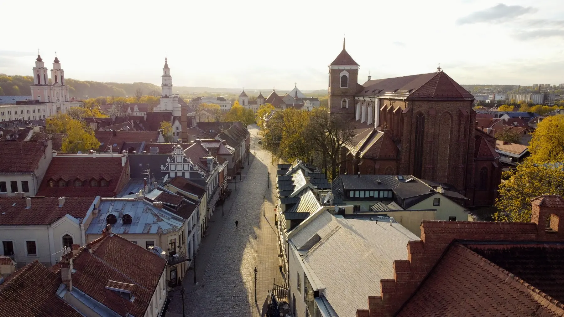 Kaunas, panorama, Rotušė, centras, pavasaris