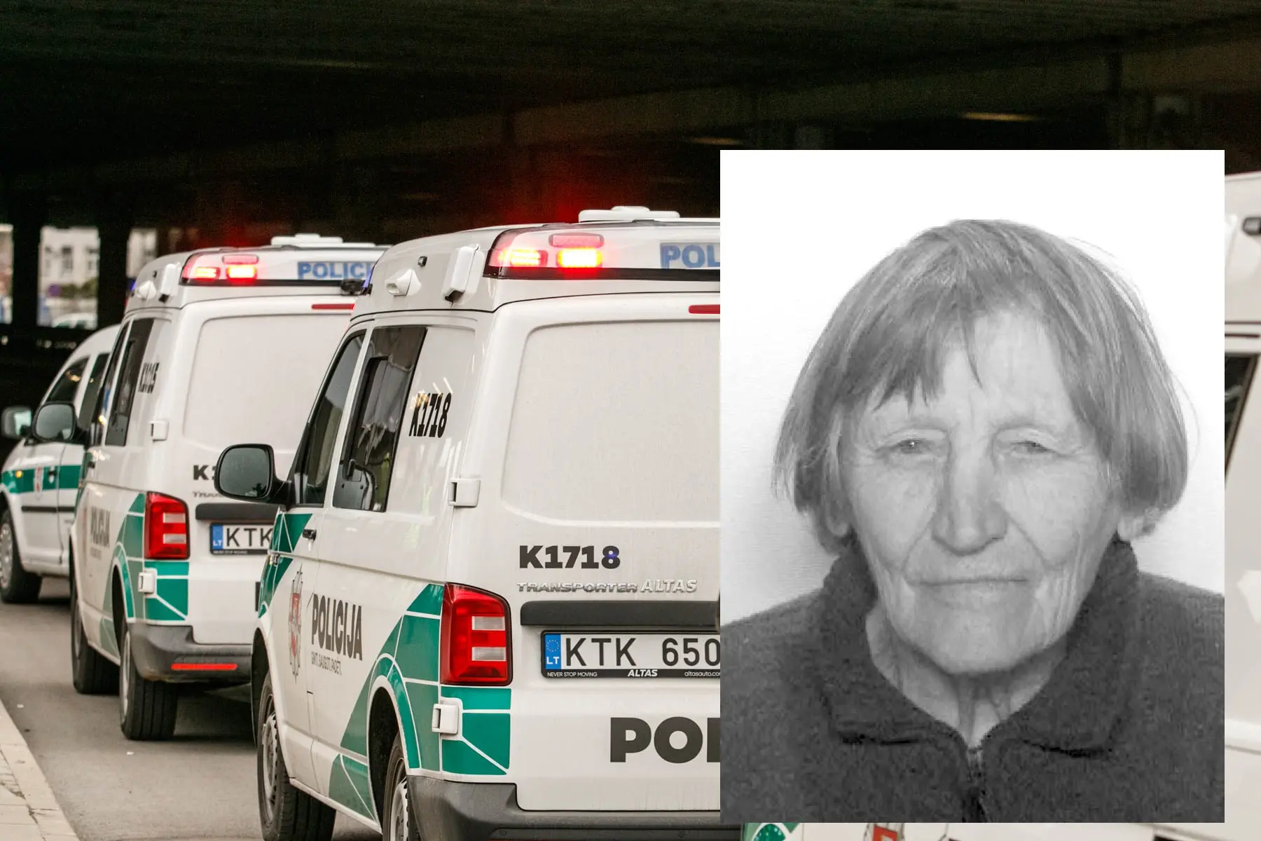 Dingo žmogus