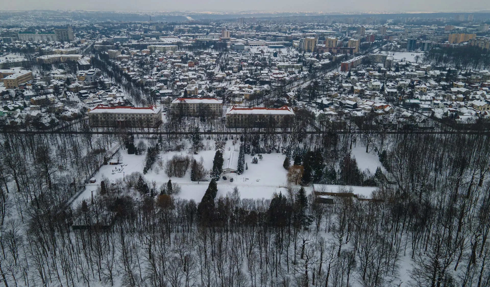 Planuojama stovėjimo aikštelė Ąžuolyno parke