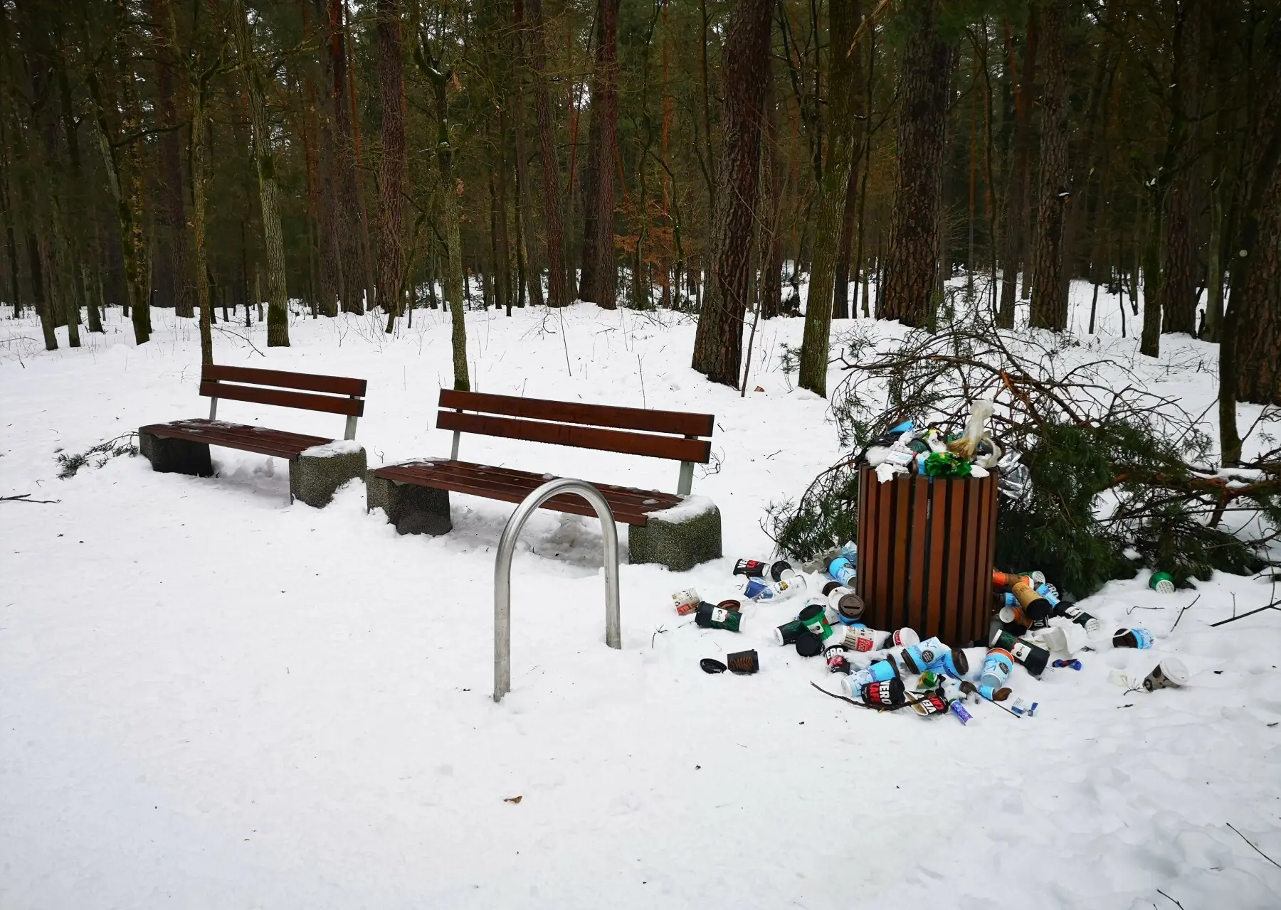 Šiukšlės Panemunės šilo parke