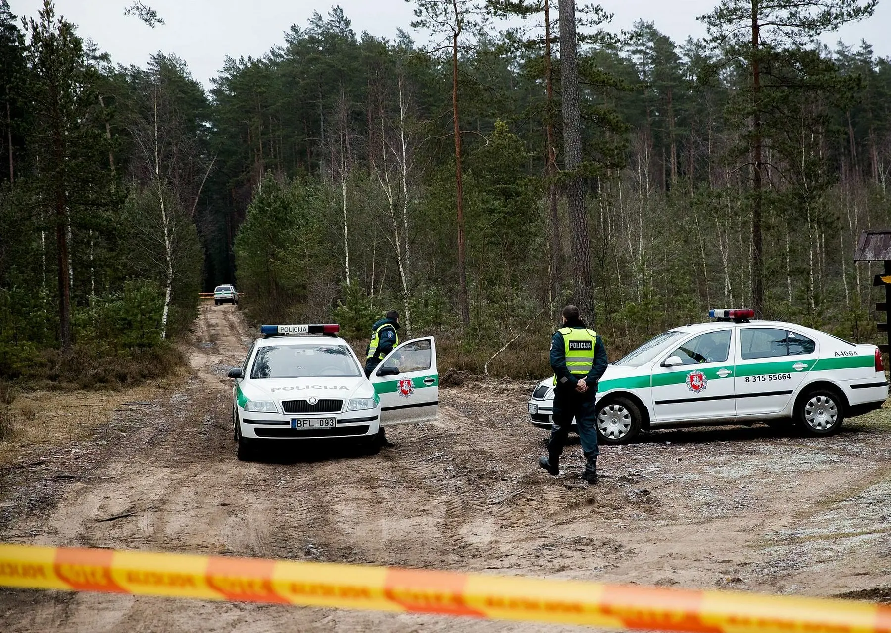 policija, miškas, stop