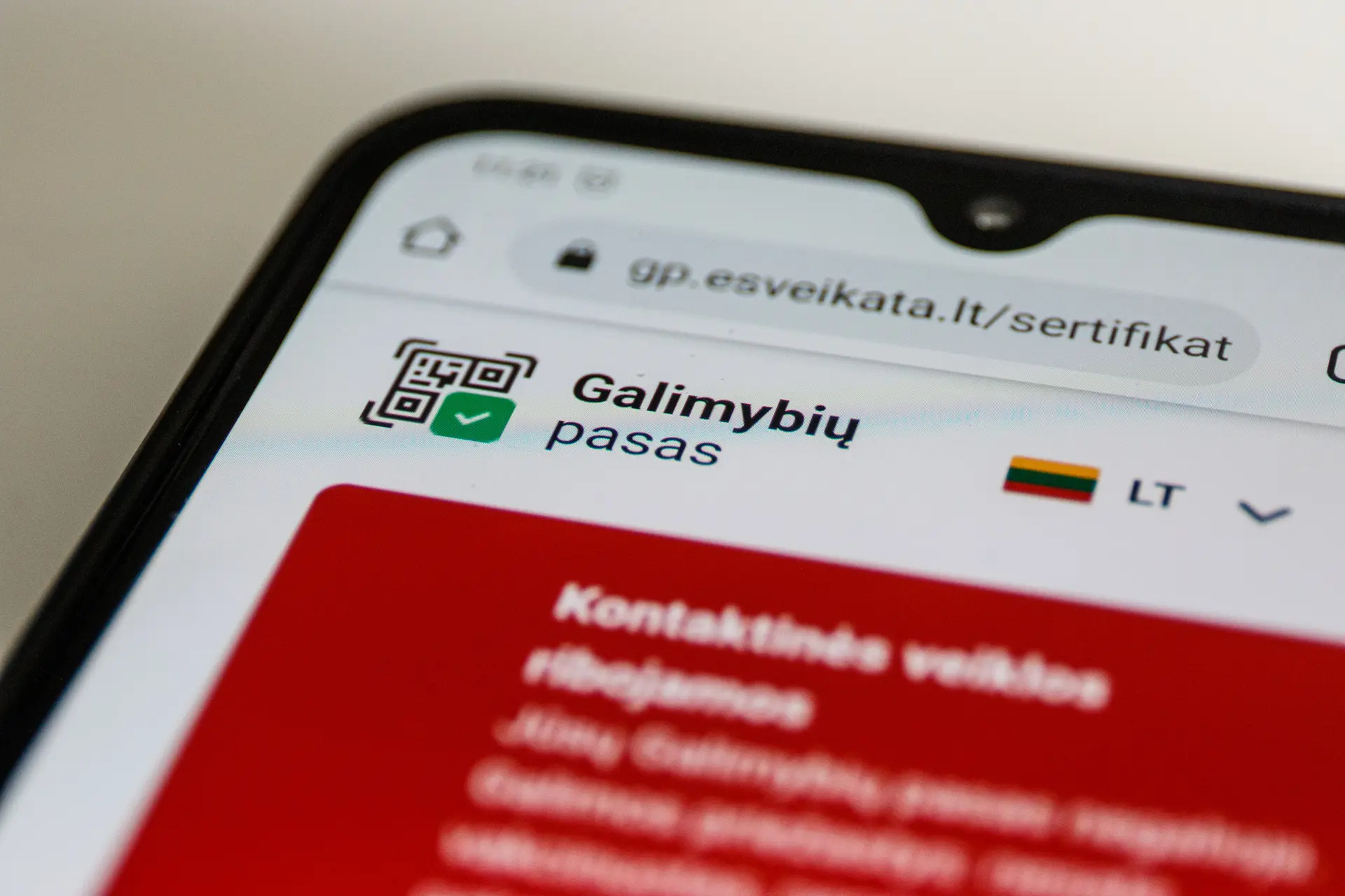 Galimybių pasas