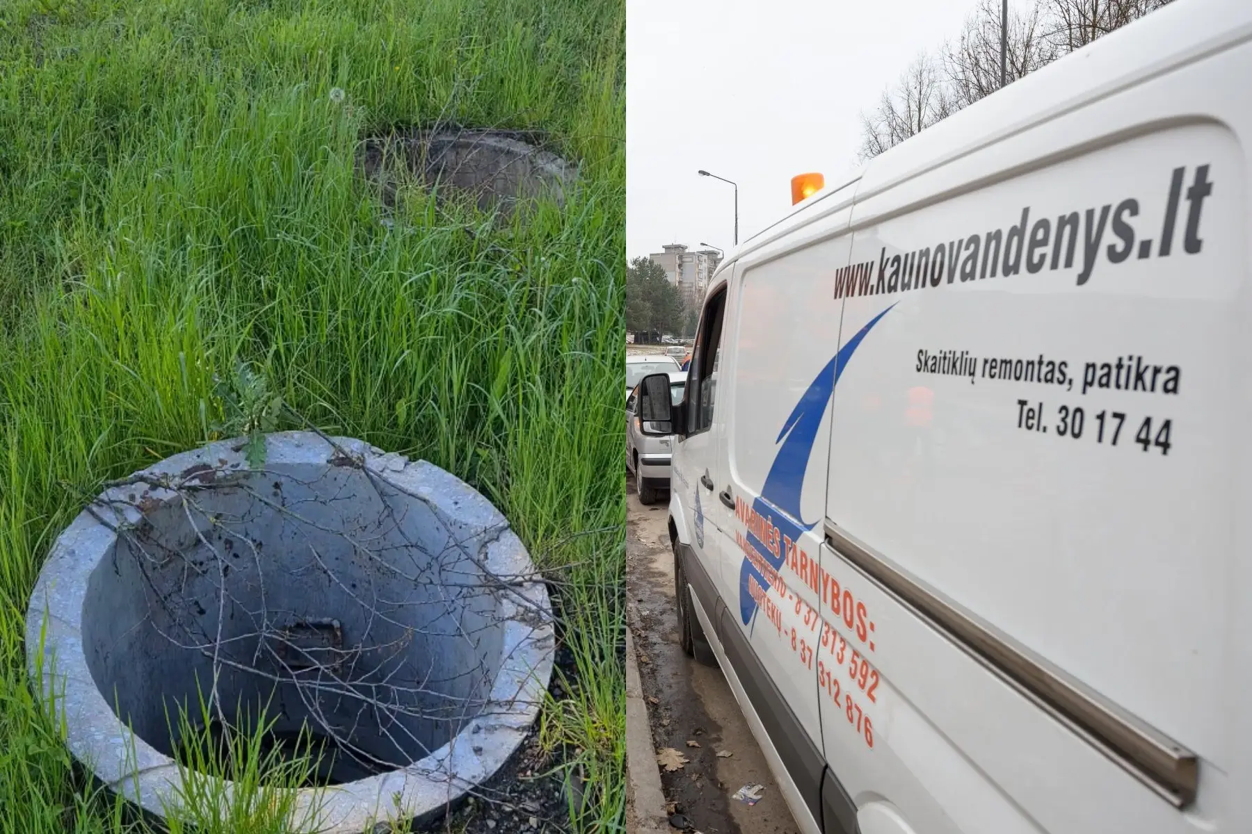 pjimage
