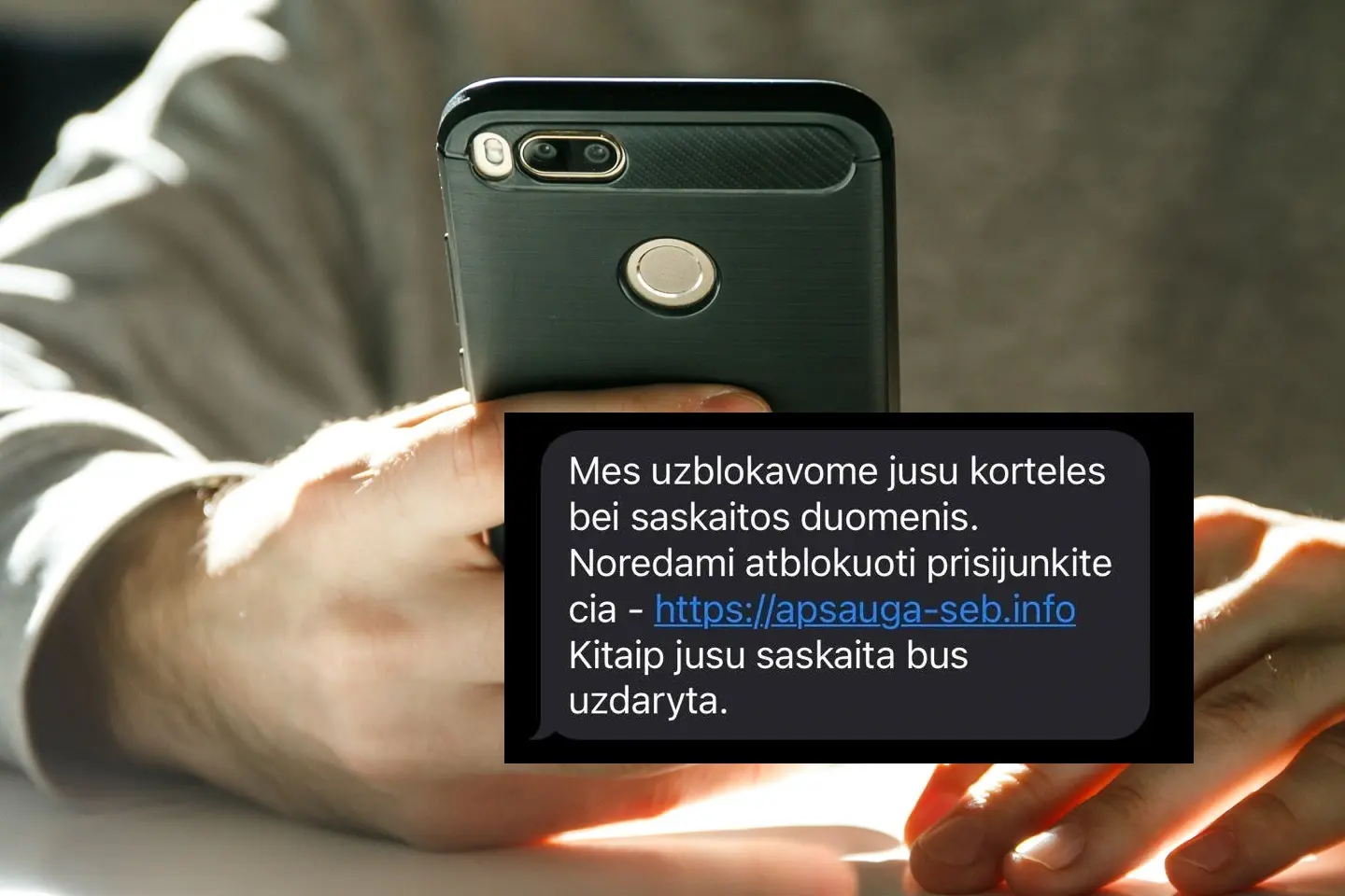 SEB sukčiai