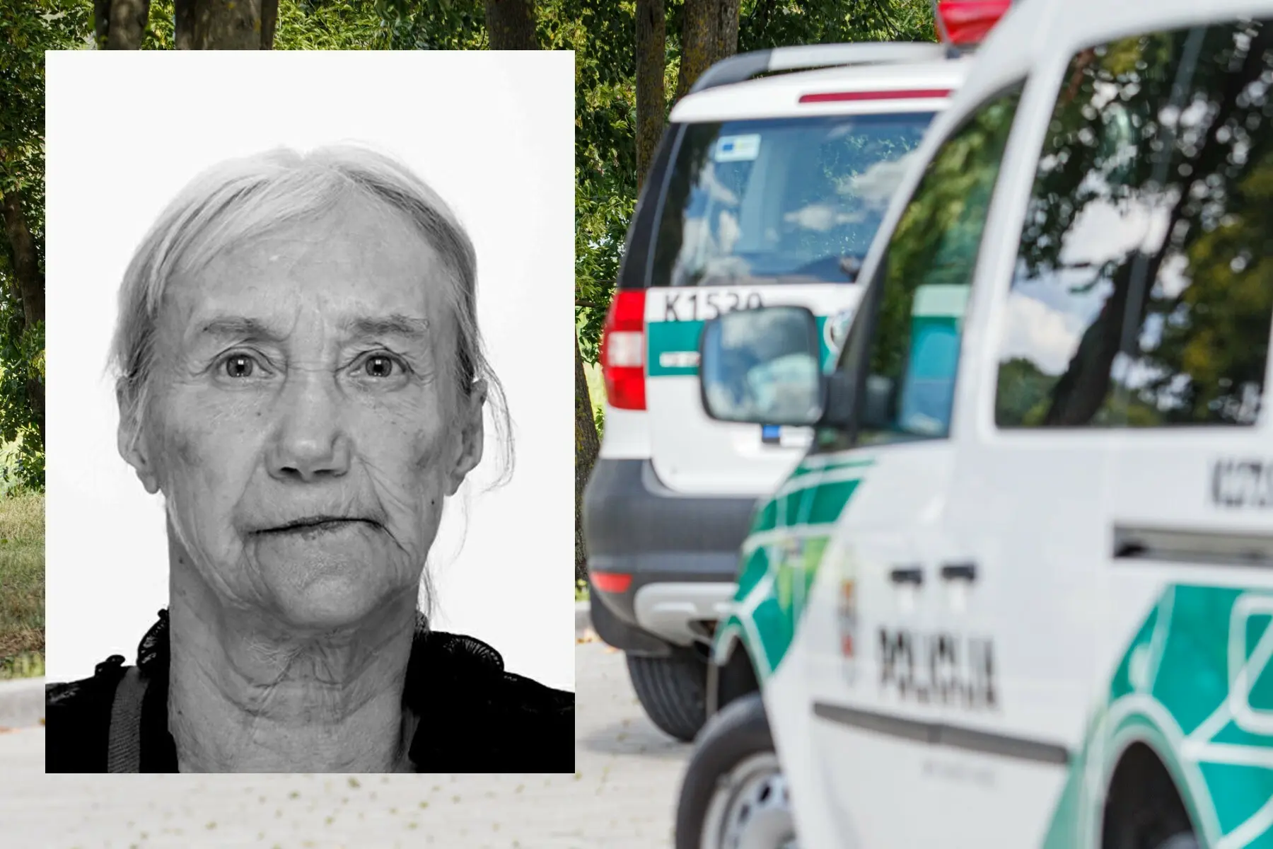 Ieškoma senjorė