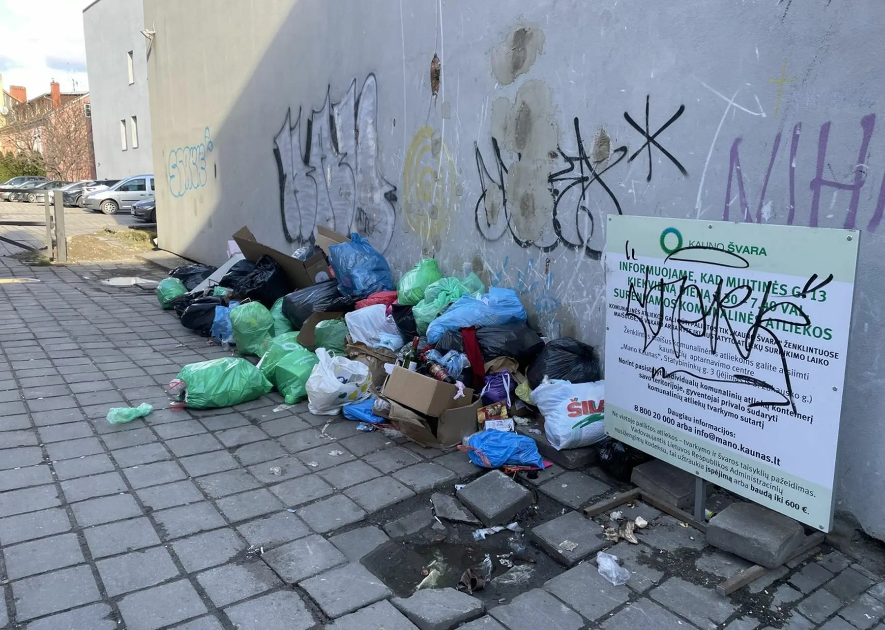 Šiukšlynas Muitinės gatvėje
