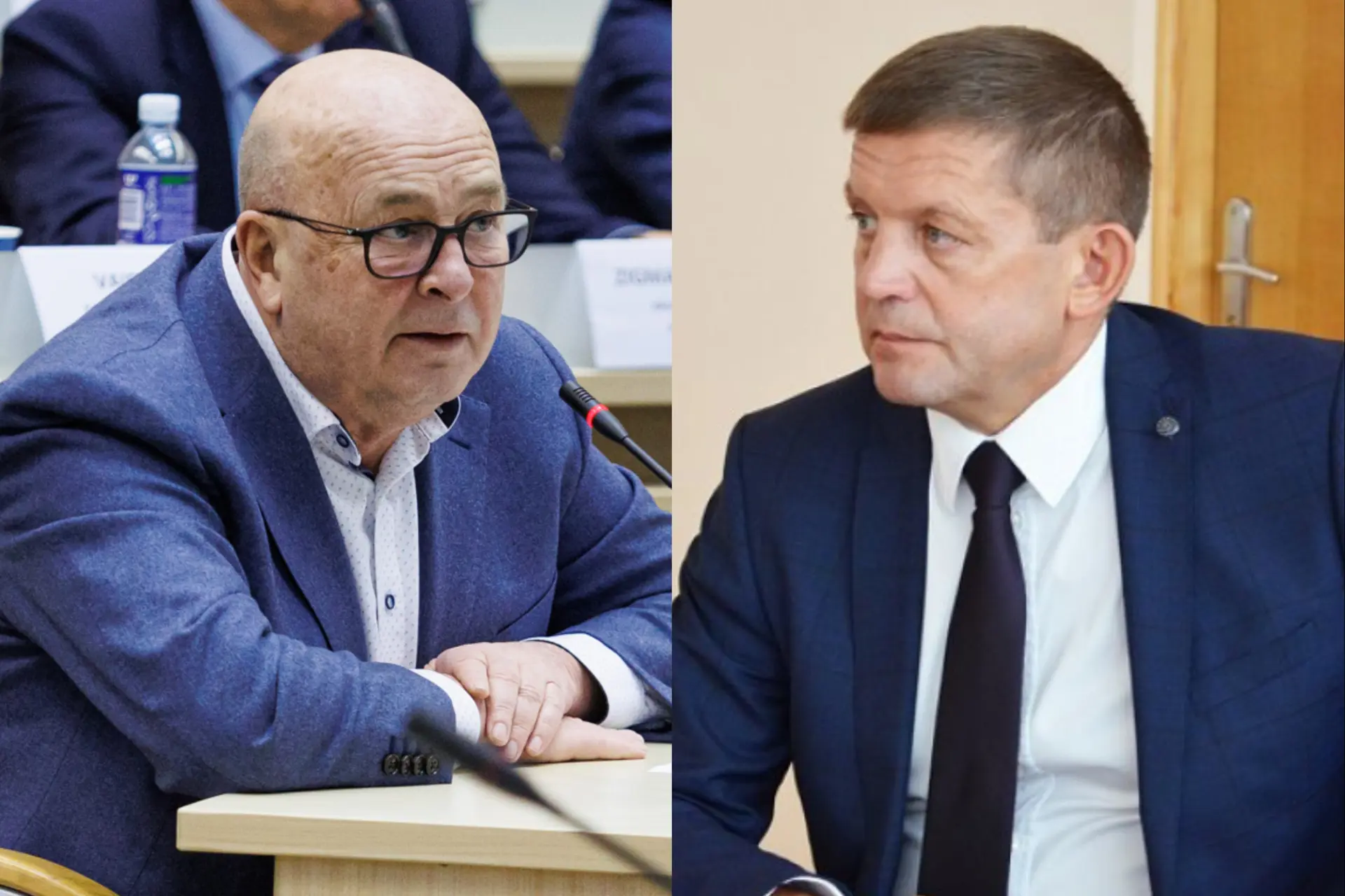Visvaldas Matijošaitis , Zdislav Palevič