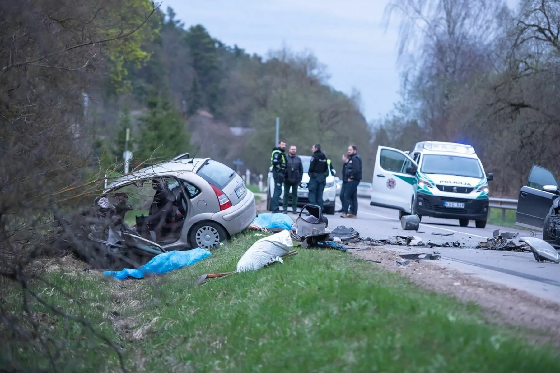 Avarija Lapių kelyje