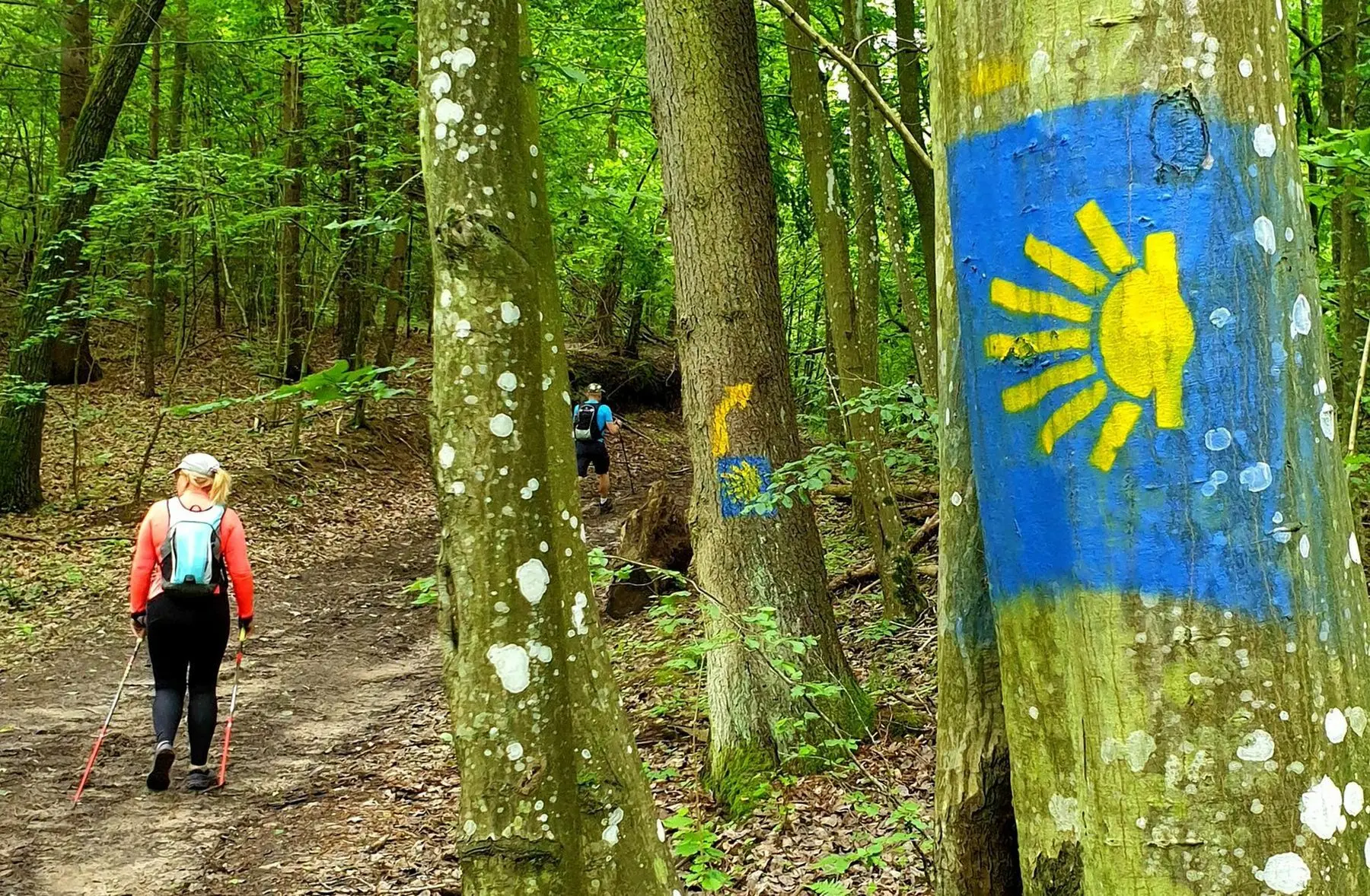 Camino lituano